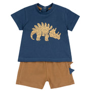 Boys Medium Light Blue Animal Printed Cotton T-Shirt and Shorts Set
