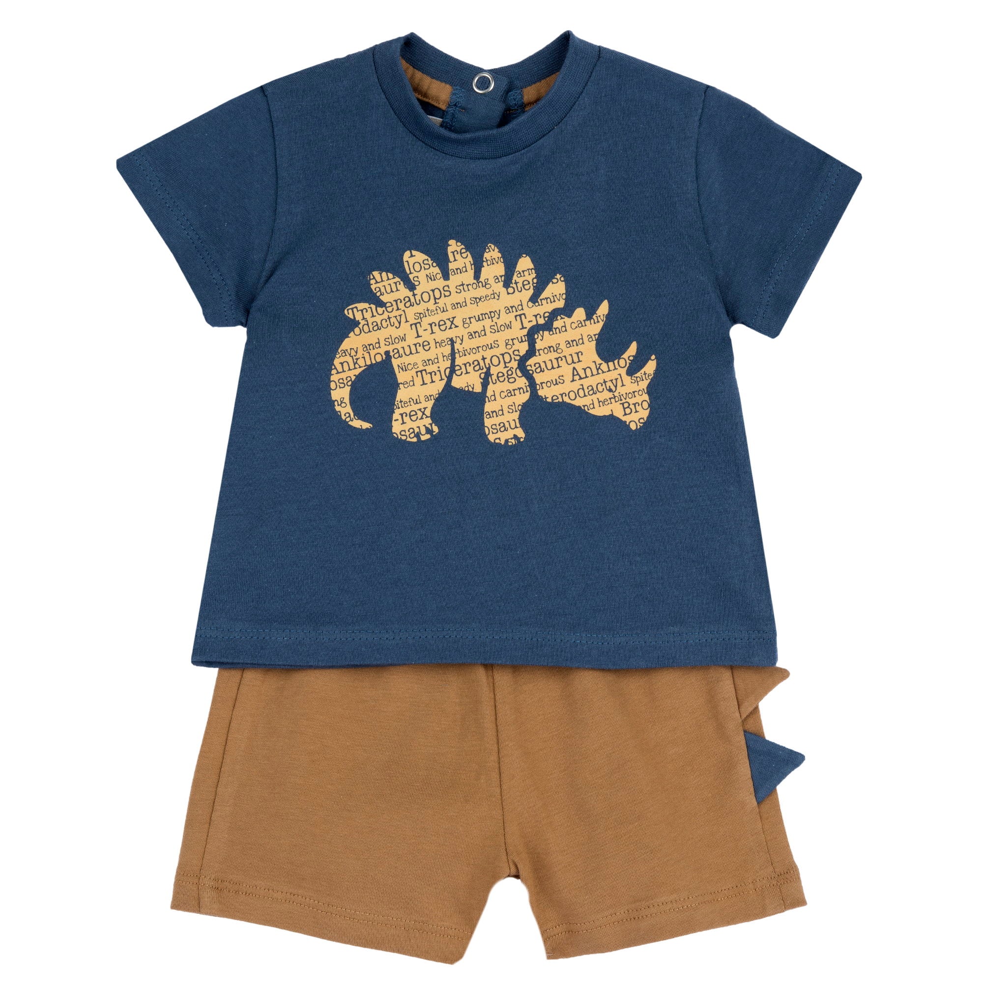 Boys Medium Light Blue Animal Printed Cotton T-Shirt and Shorts Set