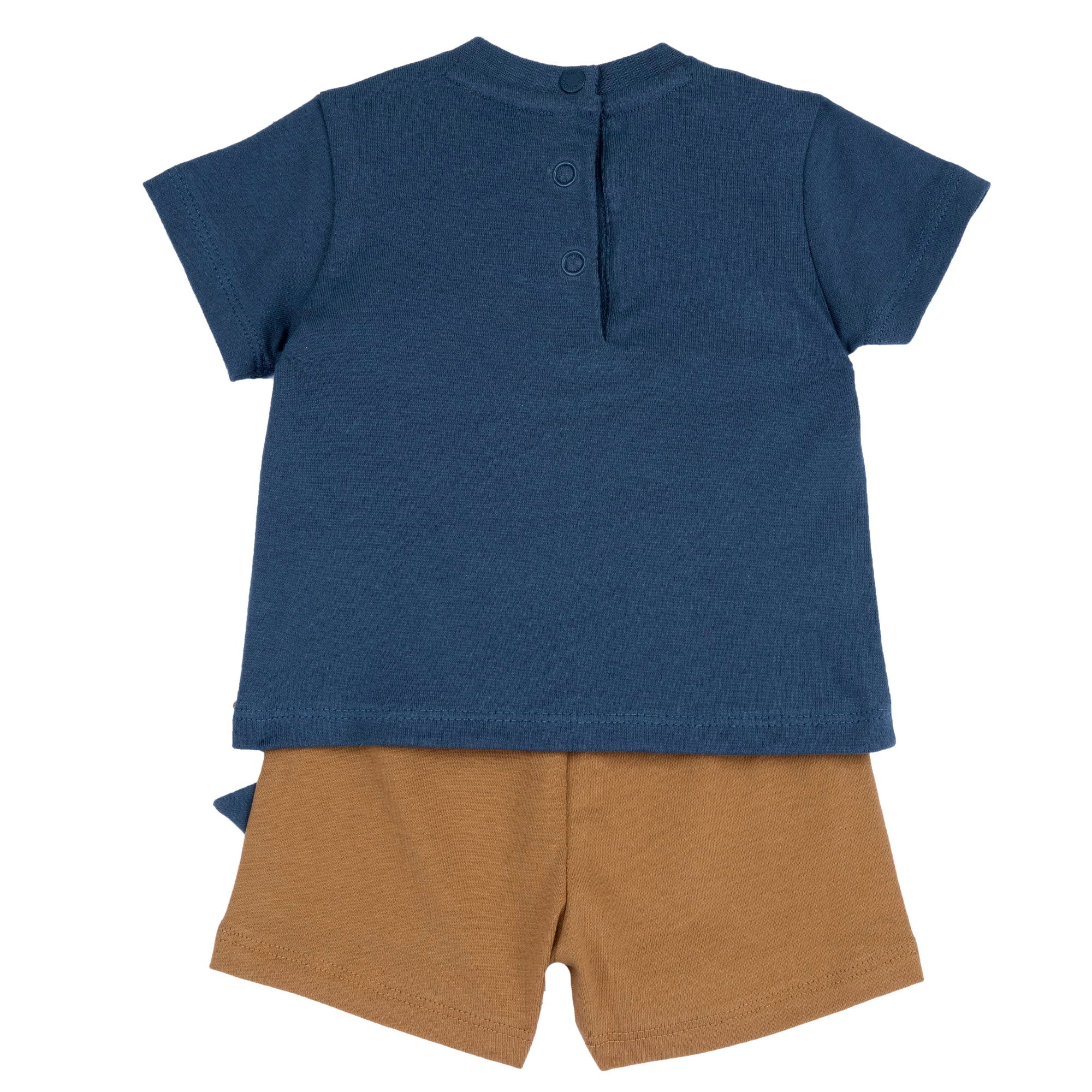 Boys Medium Light Blue Animal Printed Cotton T-Shirt and Shorts Set