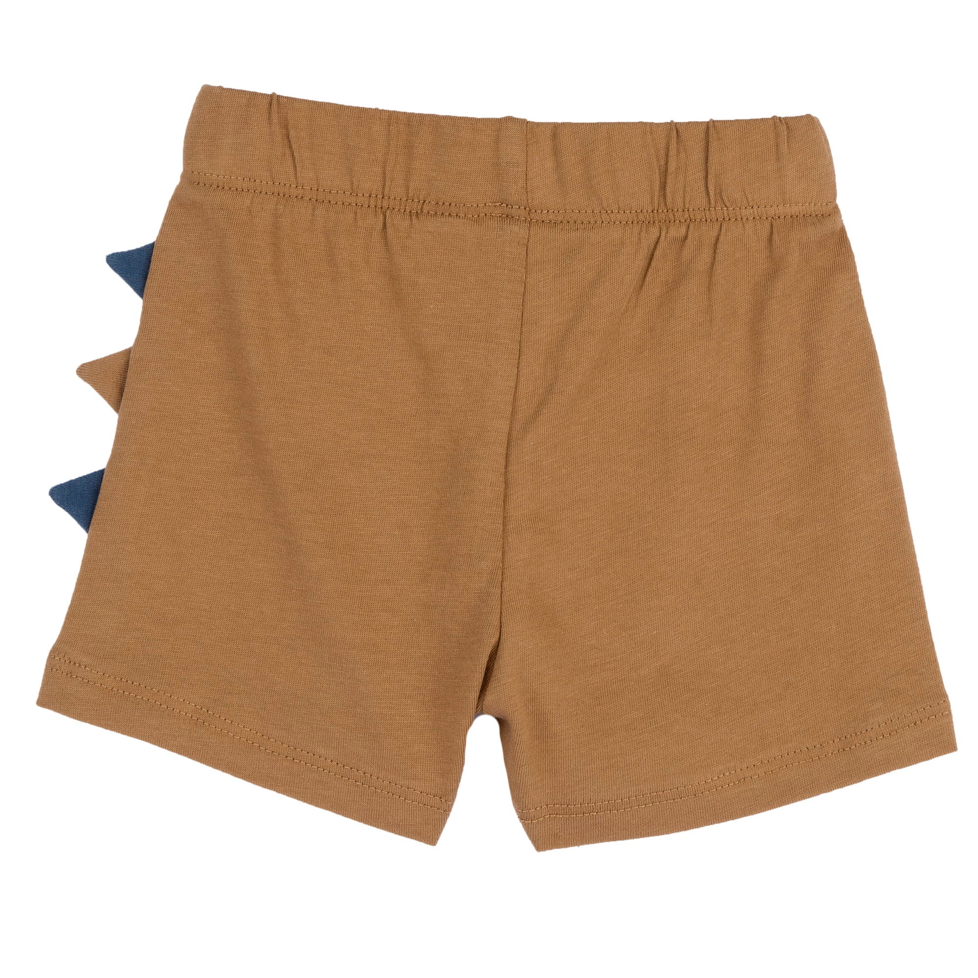 Boys Medium Light Blue Animal Printed Cotton T-Shirt and Shorts Set