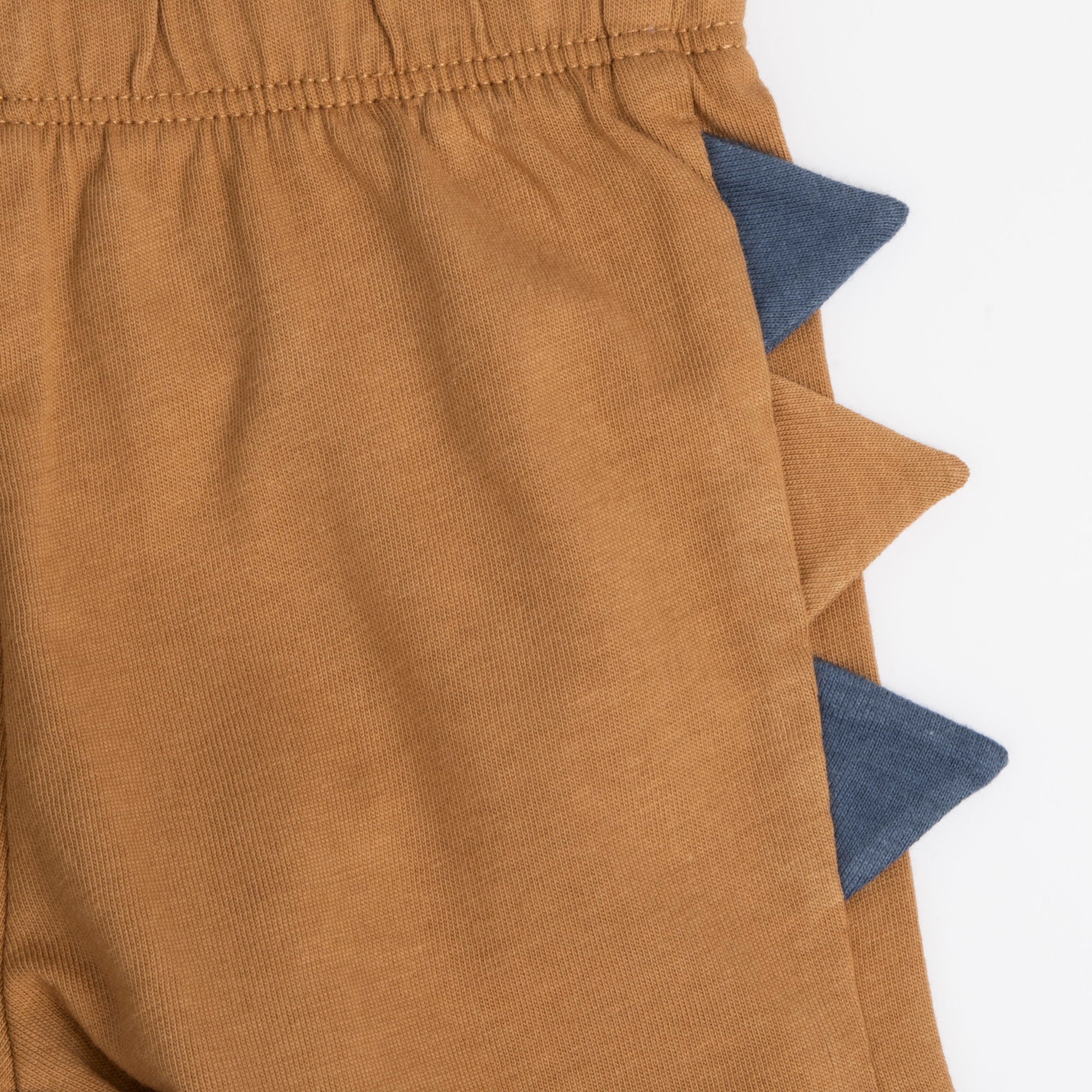 Boys Medium Light Blue Animal Printed Cotton T-Shirt and Shorts Set