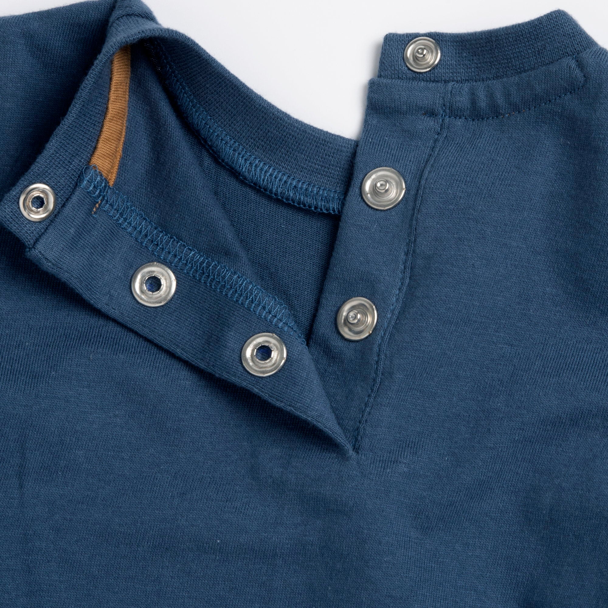 Boys Medium Light Blue Animal Printed Cotton T-Shirt and Shorts Set