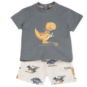 Boys Medium Grey Animal Printed Cotton T-Shirt and Shorts Set