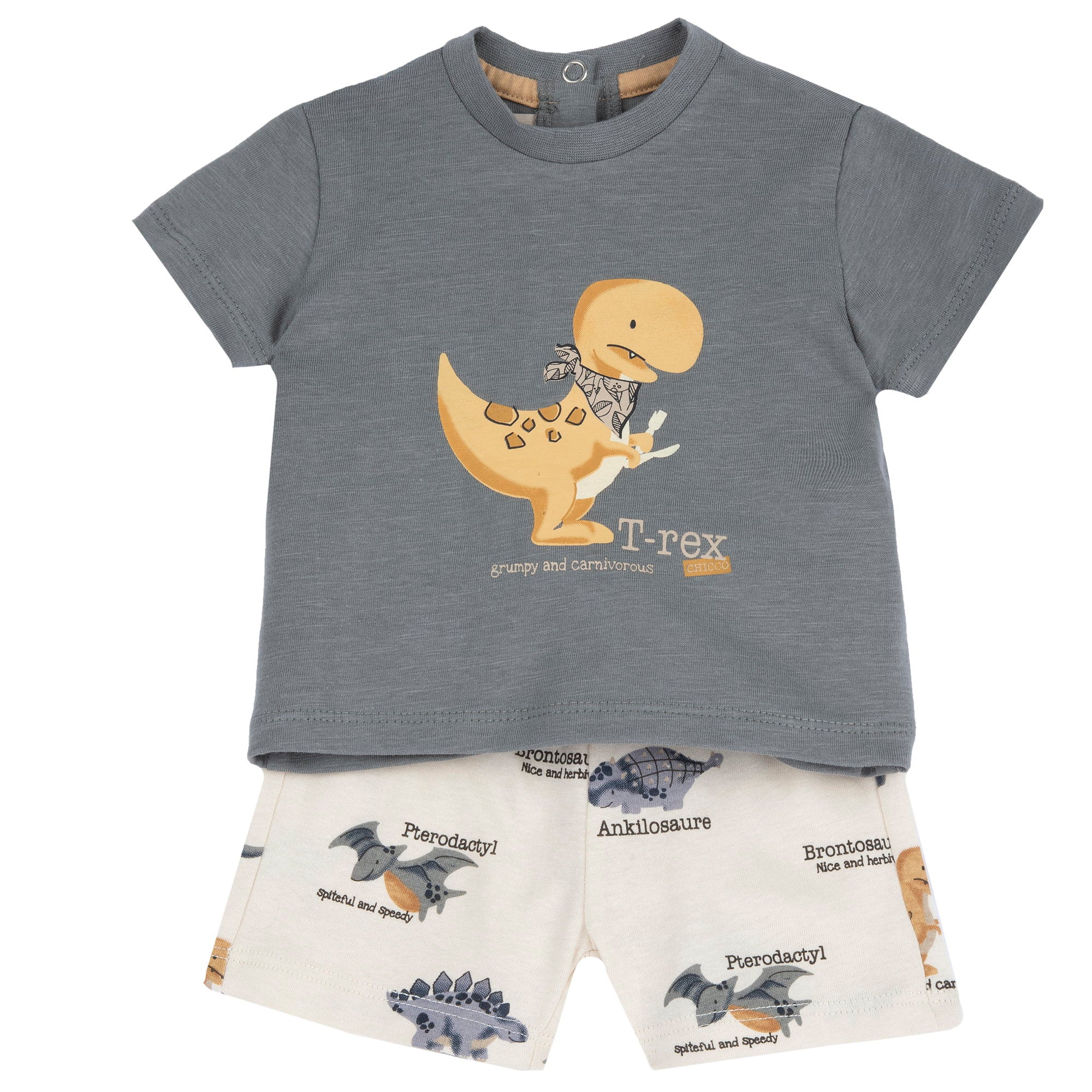 Boys Medium Grey Animal Printed Cotton T-Shirt and Shorts Set