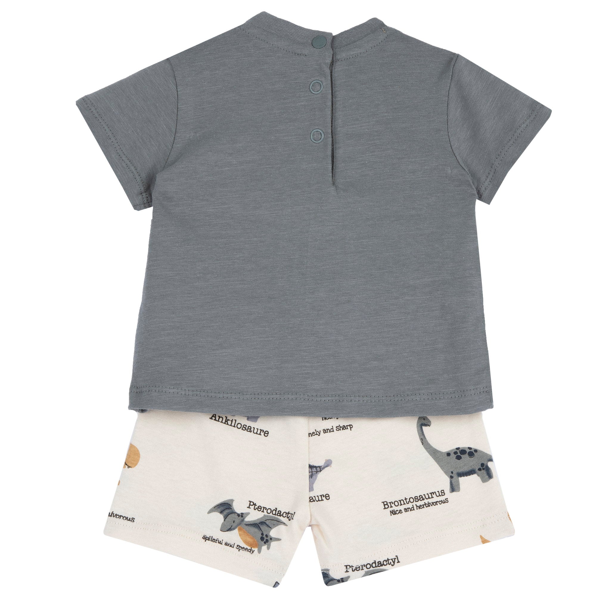 Boys Medium Grey Animal Printed Cotton T-Shirt and Shorts Set