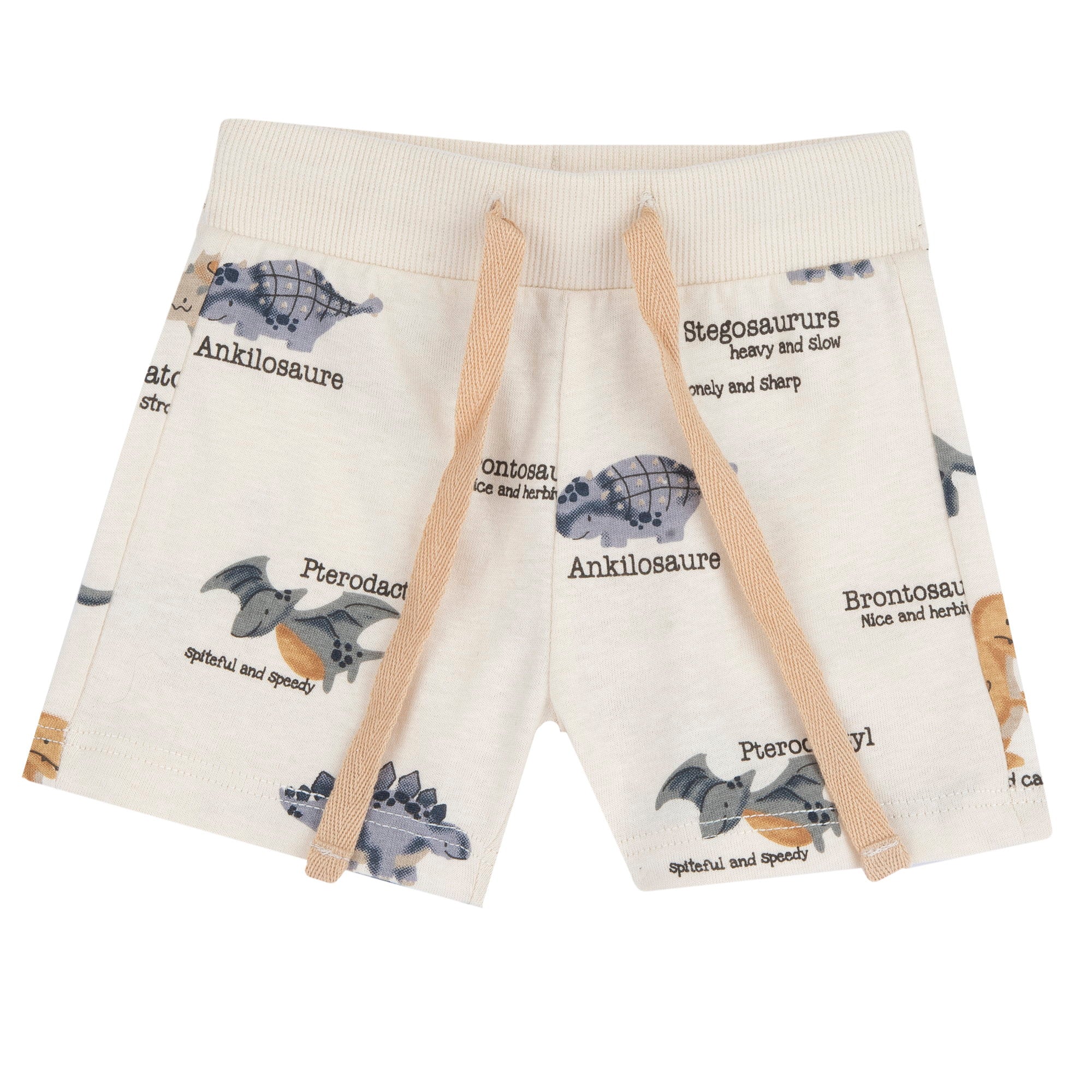 Boys Medium Grey Animal Printed Cotton T-Shirt and Shorts Set
