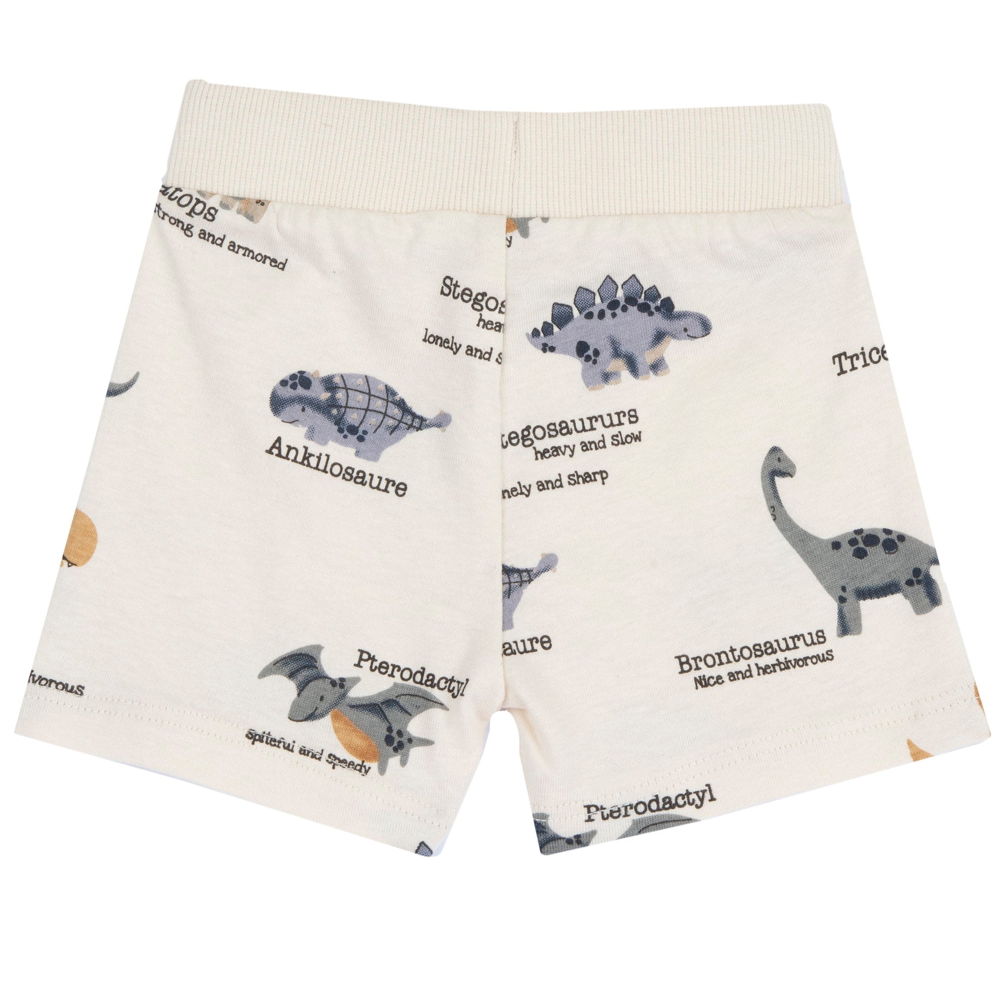 Boys Medium Grey Animal Printed Cotton T-Shirt and Shorts Set