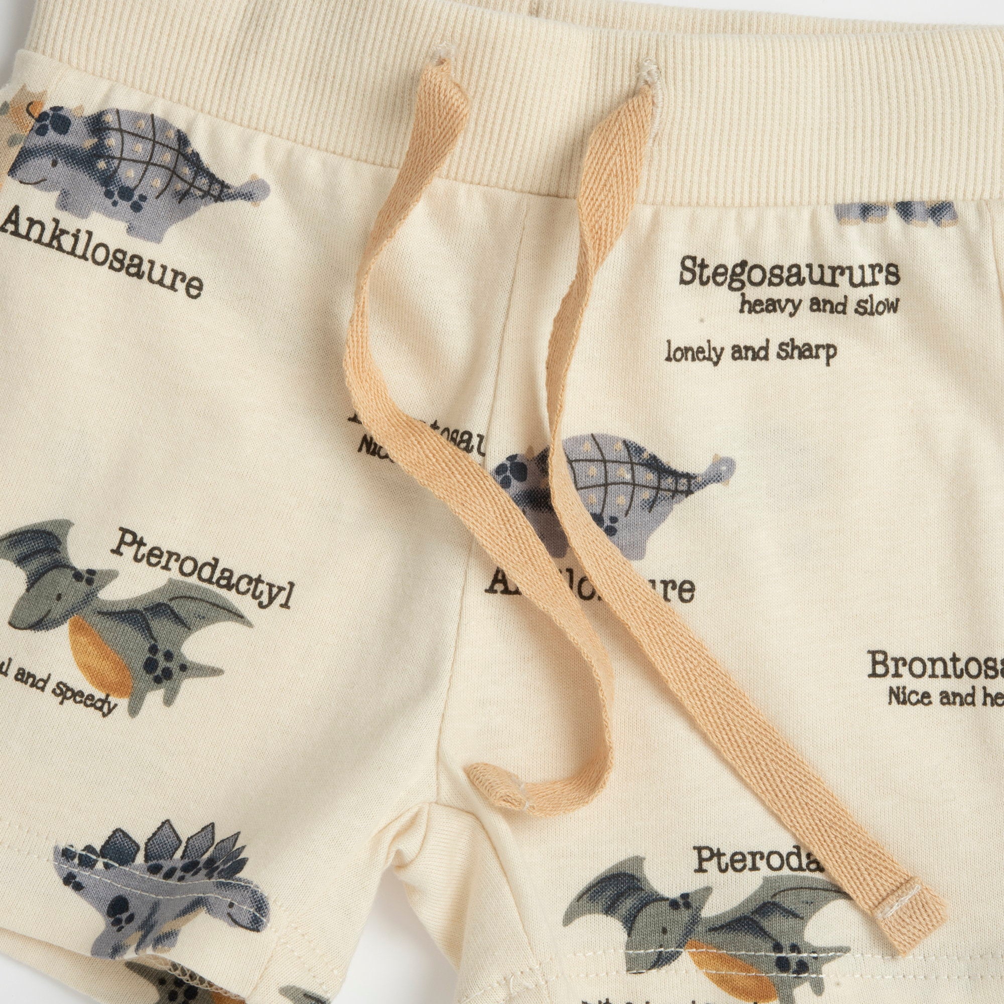 Boys Medium Grey Animal Printed Cotton T-Shirt and Shorts Set