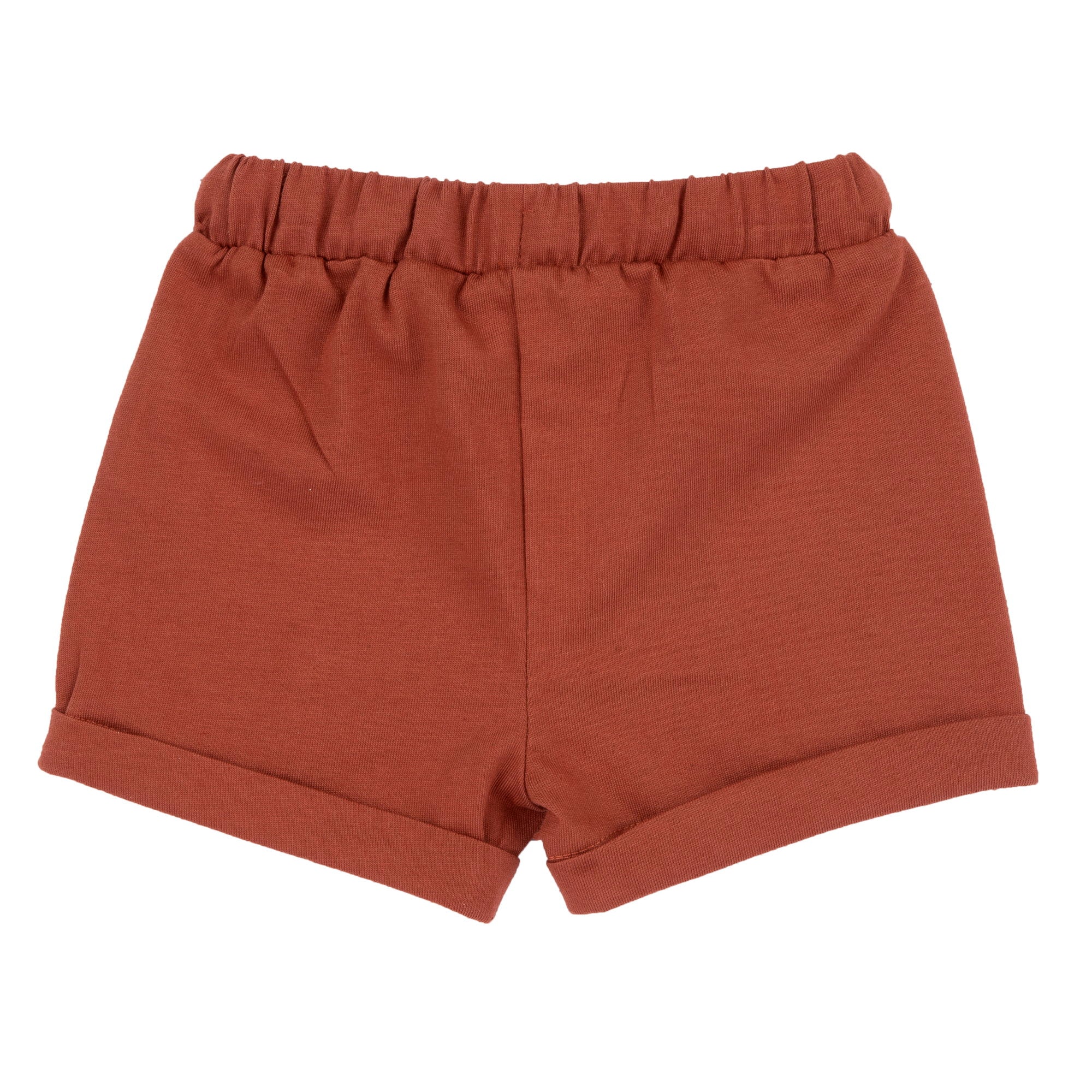 Boys Light Red Printed Cotton T-Shirt and Shorts Set