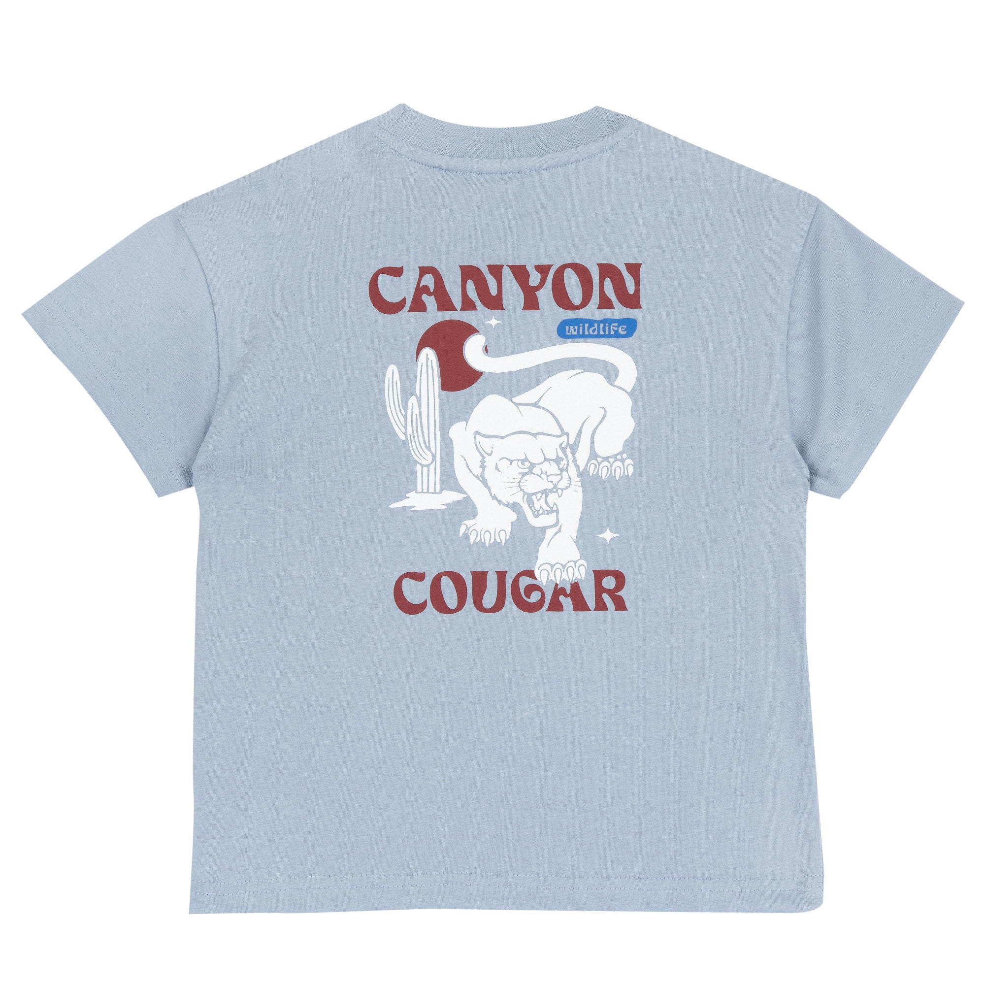 Medium Light Blue Graphic Printed Cotton Short Sleeve T-Shirt for Boys