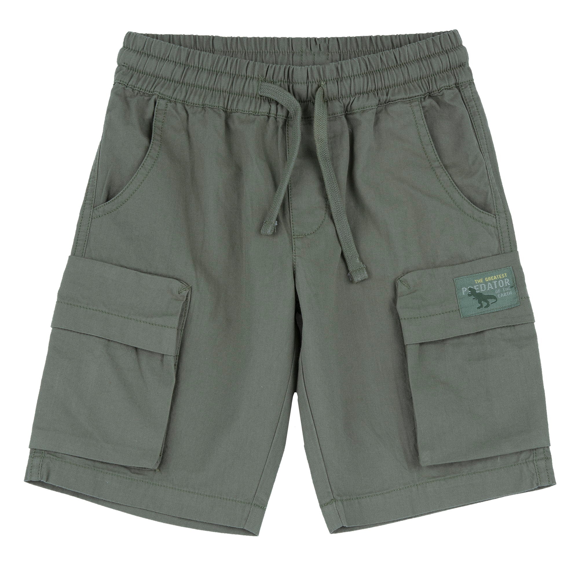 Medium Green Solid Cotton Short Trousers for Boys