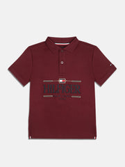 Boys Maroon Logo Polo Collar Regular Fit Knit Top