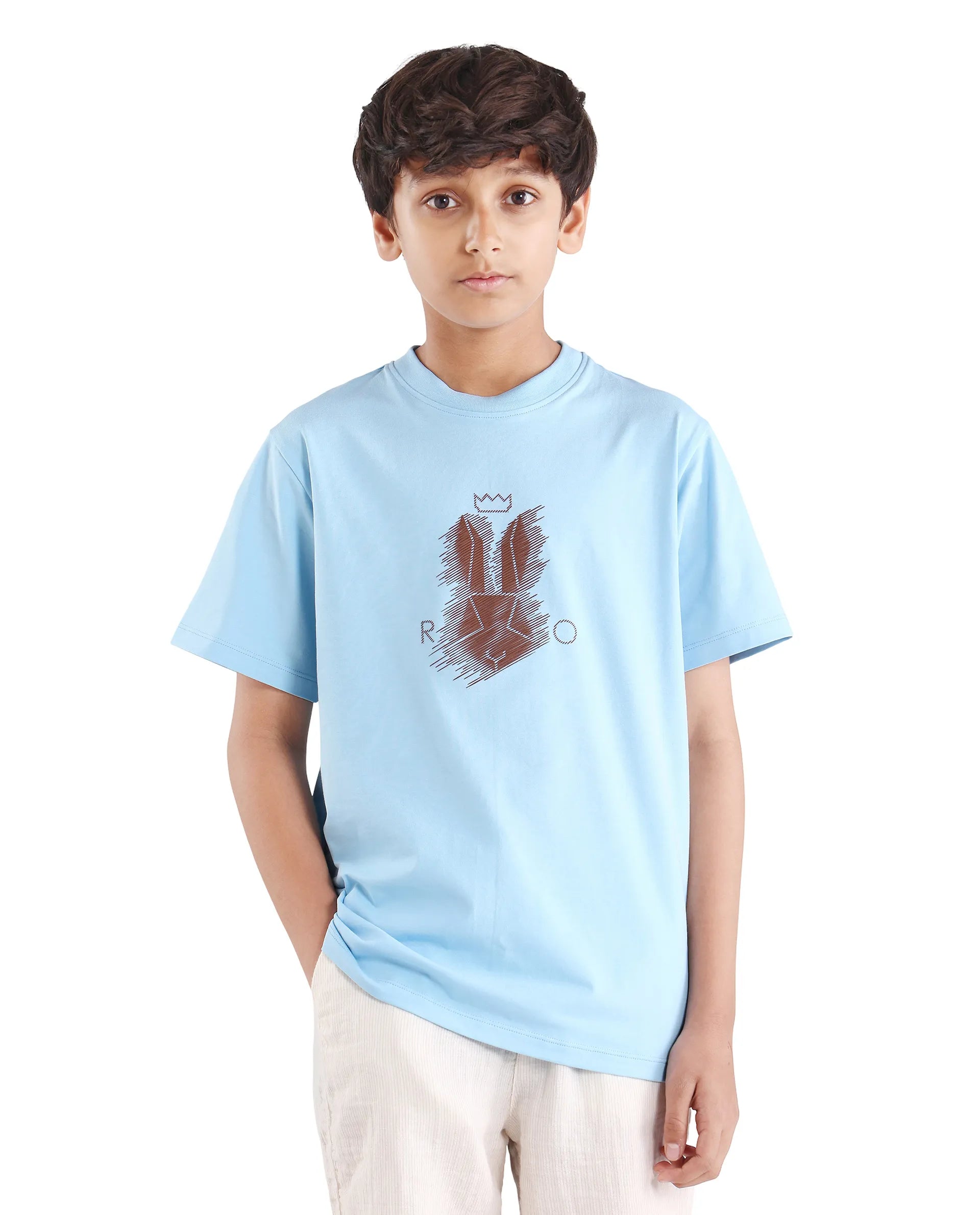 Rare Ones Boys Light Blue HD Print Regular Fit T-Shirt