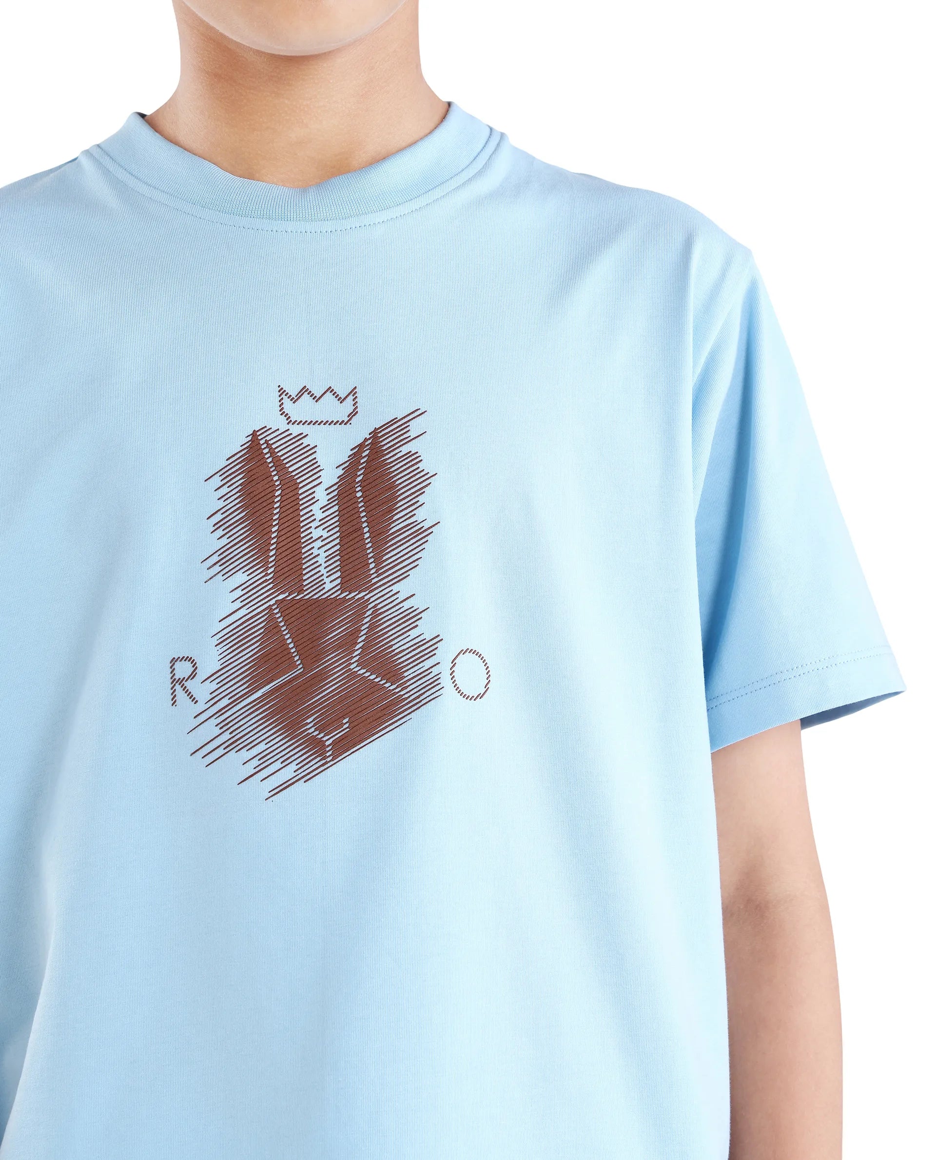 Rare Ones Boys Light Blue HD Print Regular Fit T-Shirt