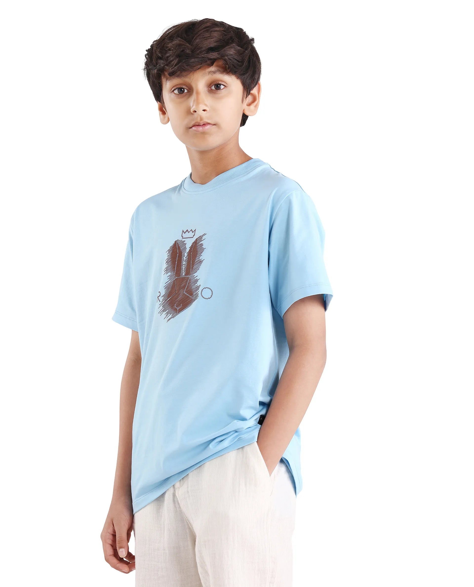 Rare Ones Boys Light Blue HD Print Regular Fit T-Shirt