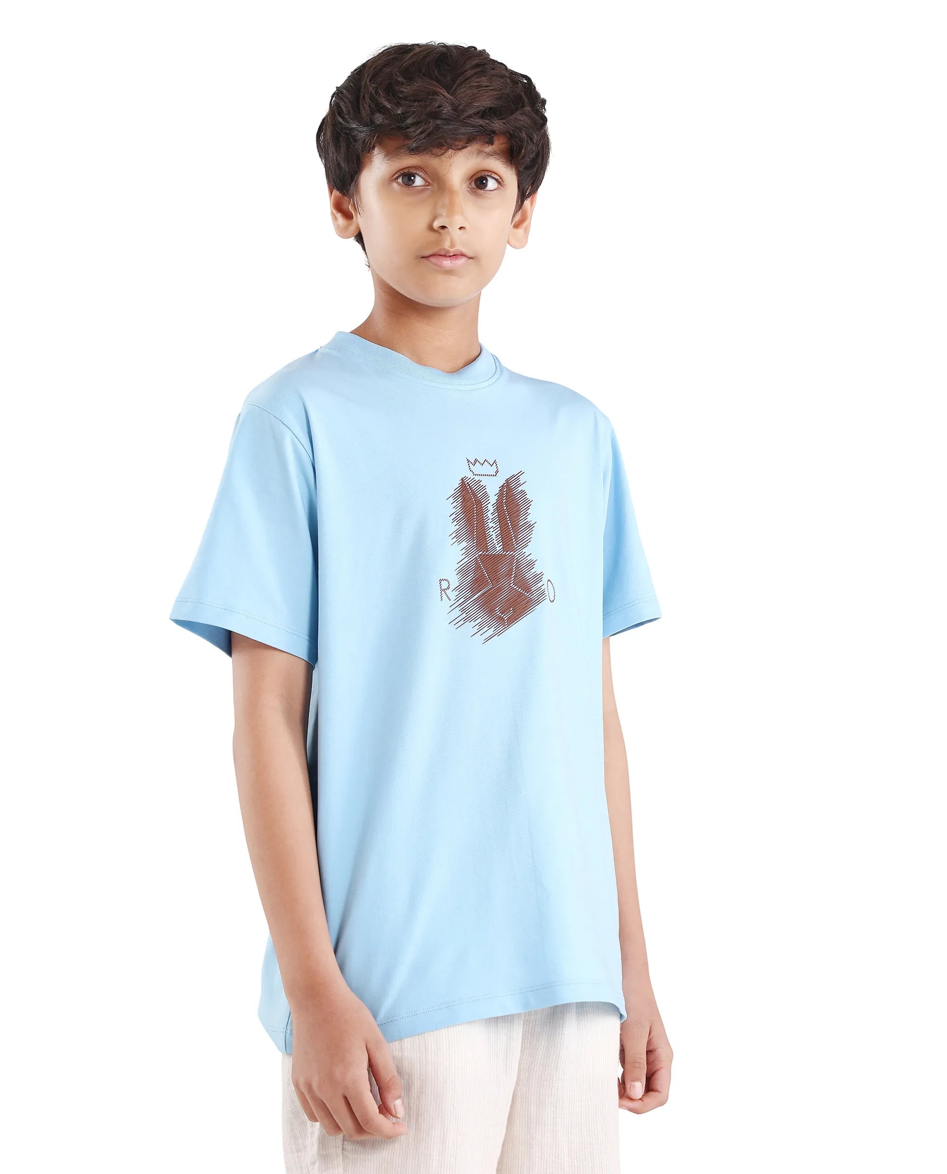 Rare Ones Boys Light Blue HD Print Regular Fit T-Shirt