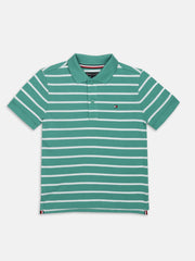 Boys Green Striped Polo Collar Regular Fit Cotton Knit Top