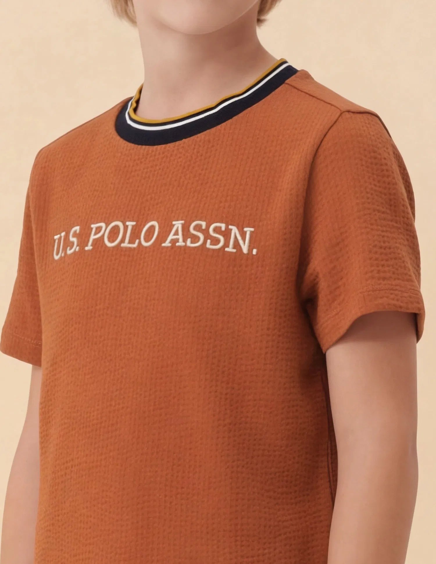 Boys Rust Cotton Blend Self Design Regular Fit T-Shirt