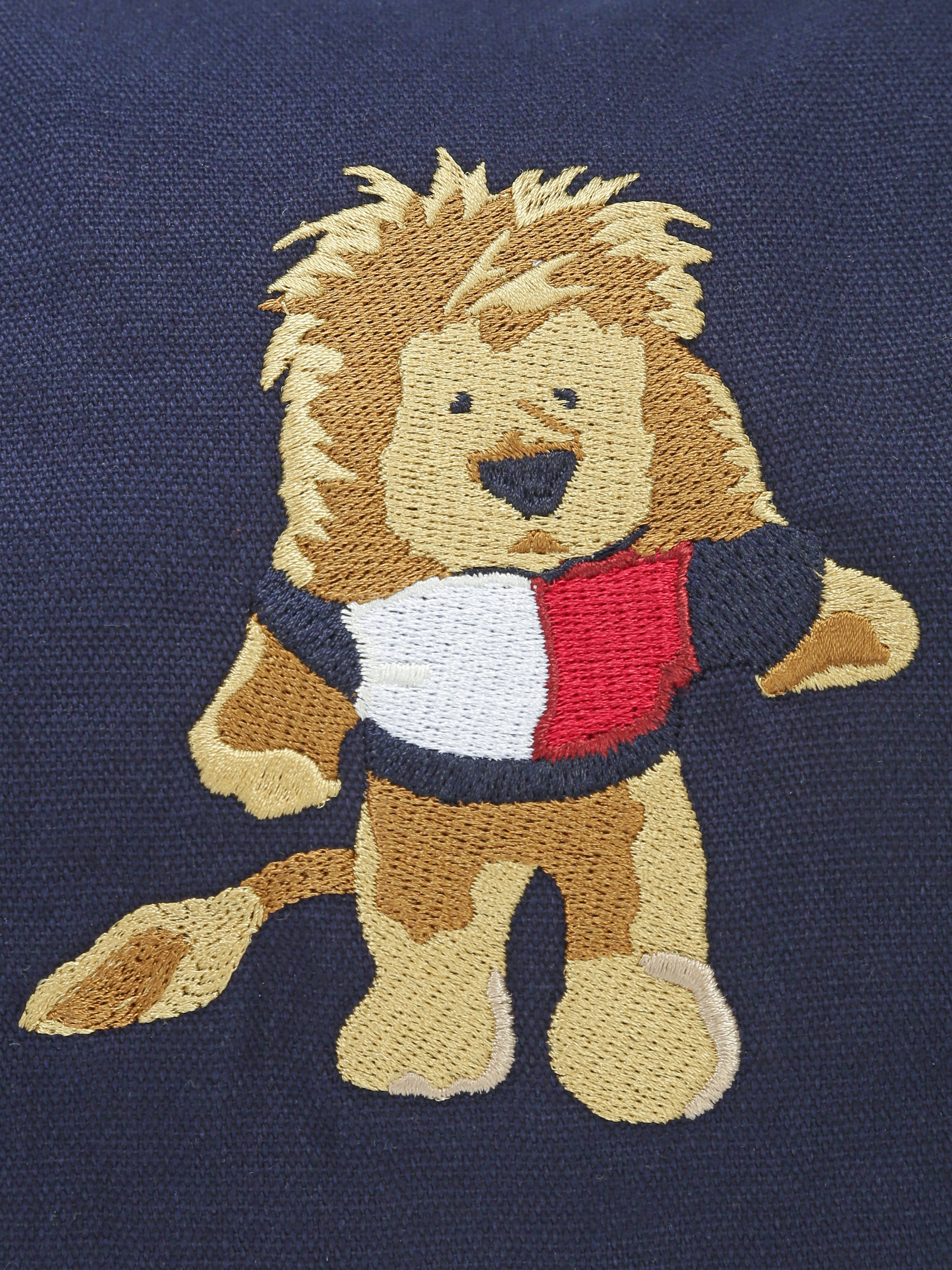 Kids Blue Casual Embroidered Polyester Carry Bag