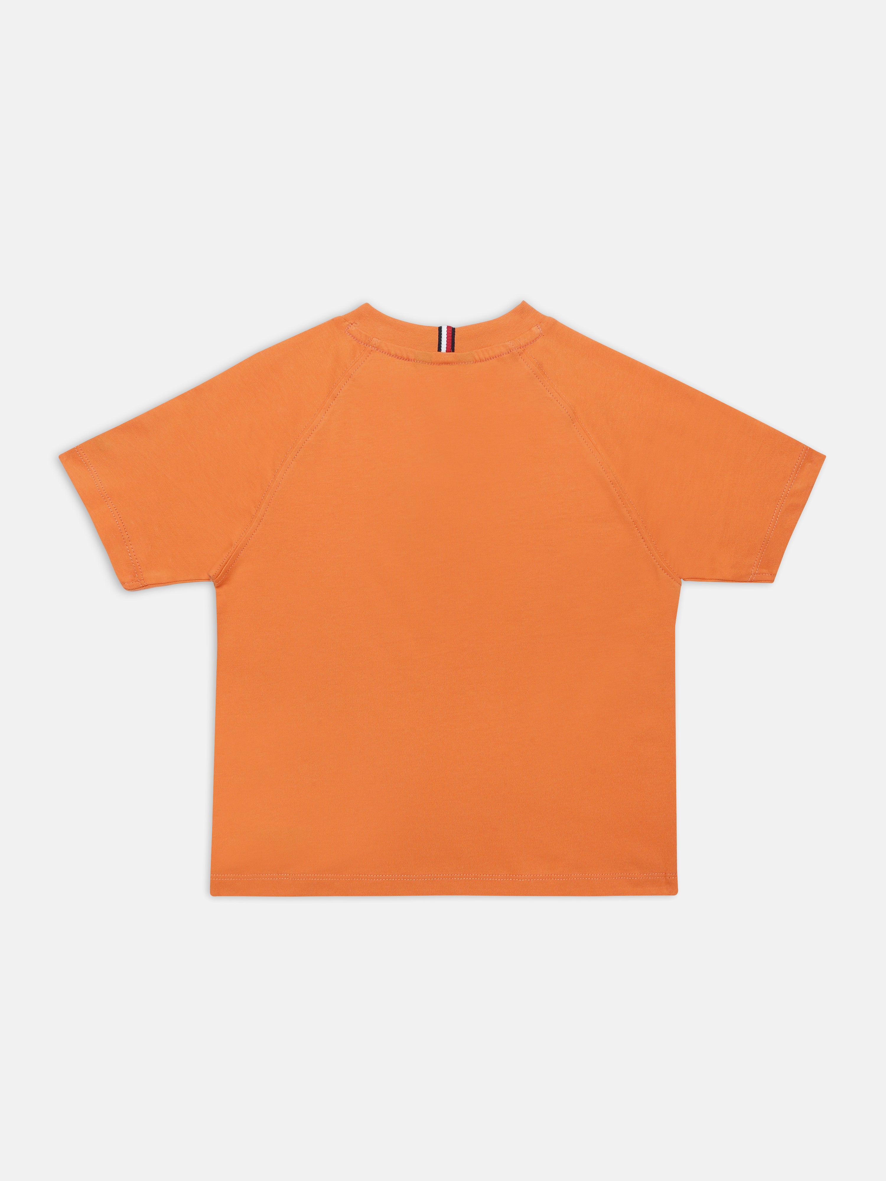 Boys Orange Graphic Cotton Crew Neck Knit Top Regular Fit