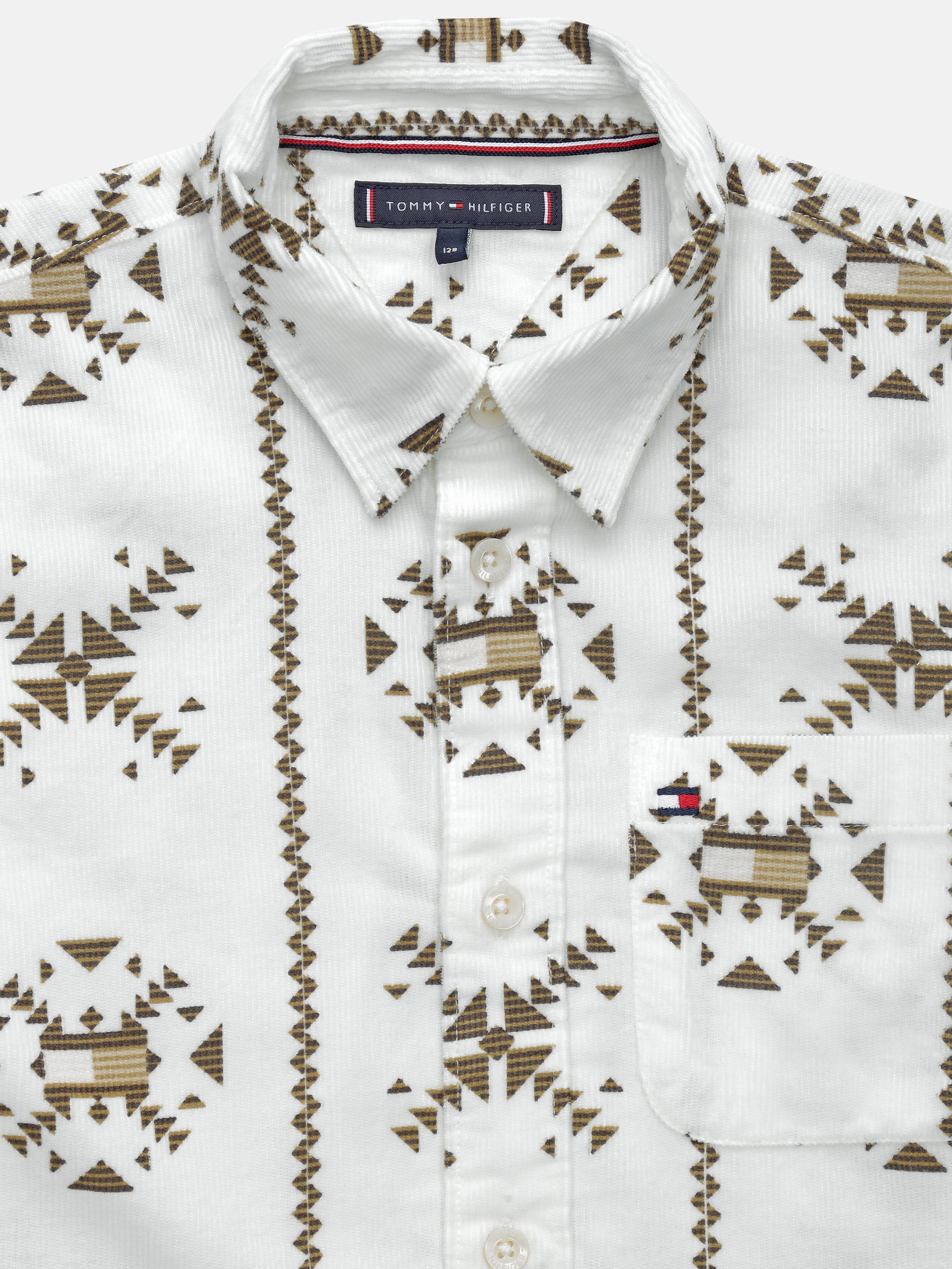 Boys Ancient White Ethnic Motif Cotton Regular Fit Shirt