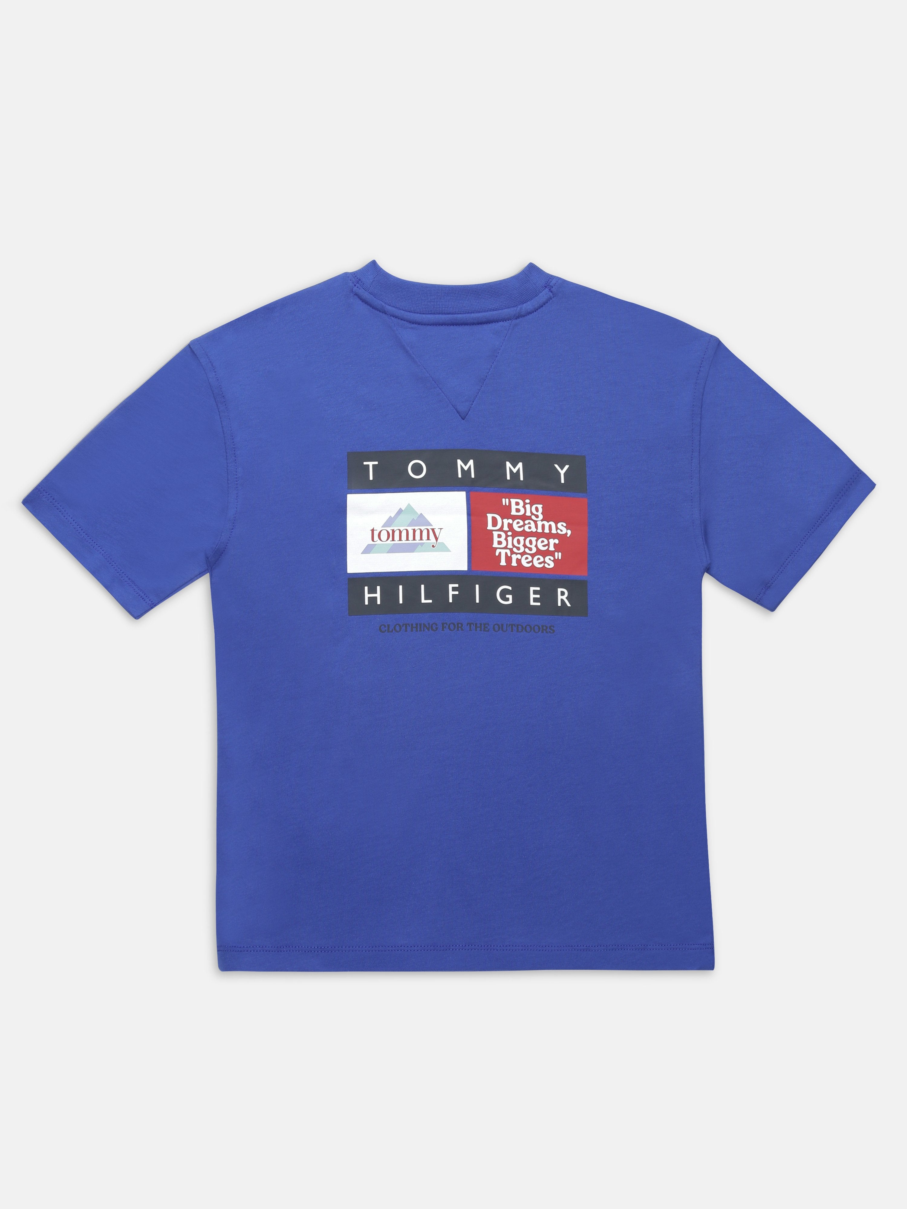 Boys Blue Graphic Cotton T-Shirt