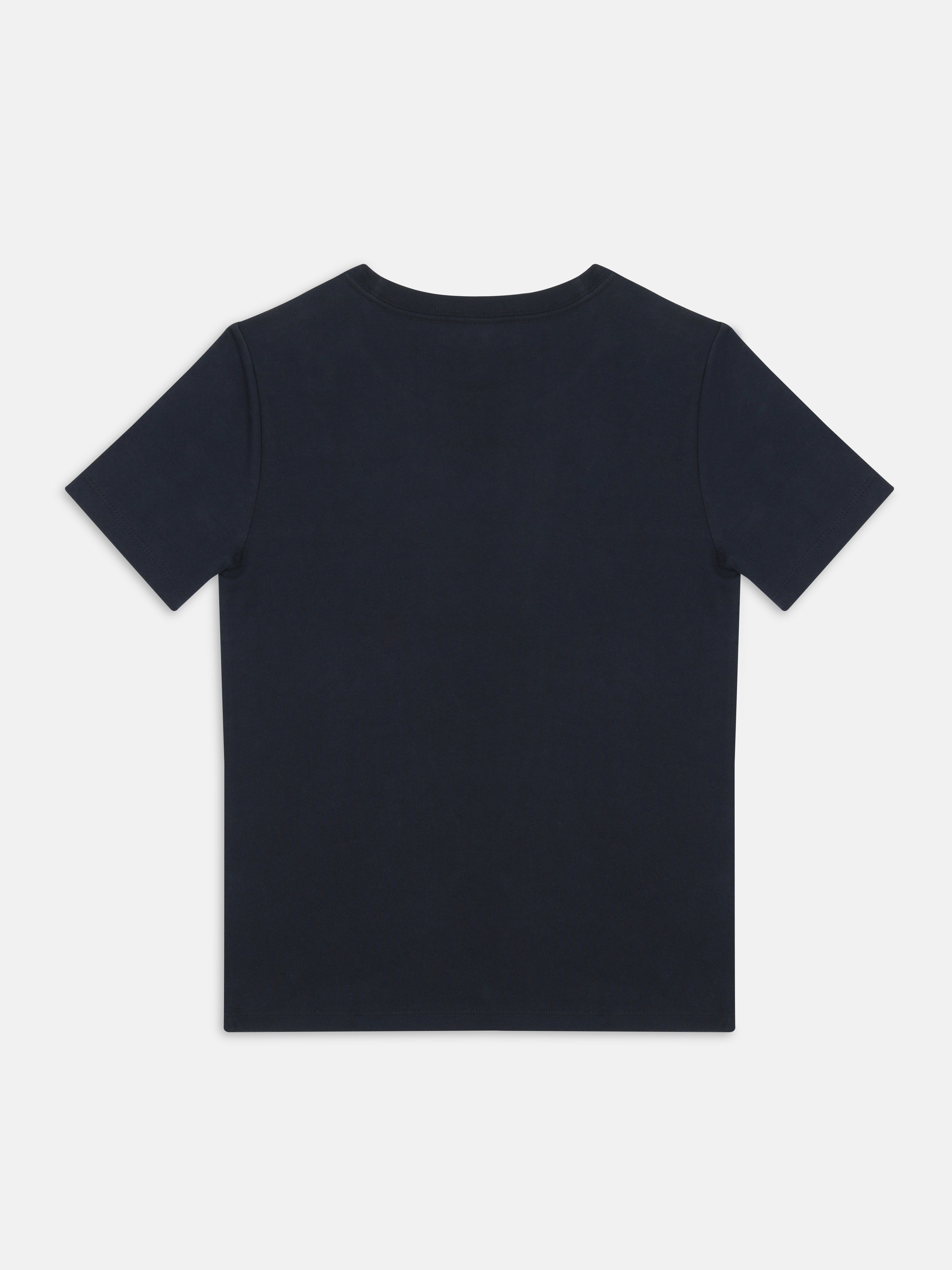 Boys Desert Sky Embroidered Logo Cotton Regular Fit T-Shirt