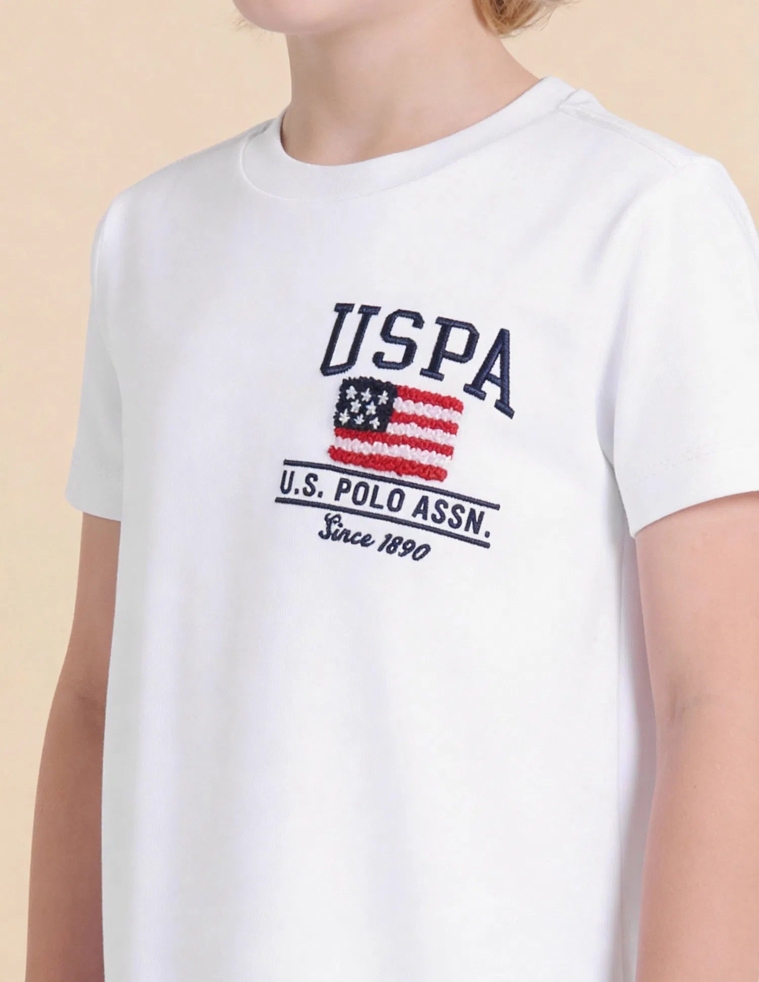 Boys White Cotton Brand Logo Regular Fit T-Shirt