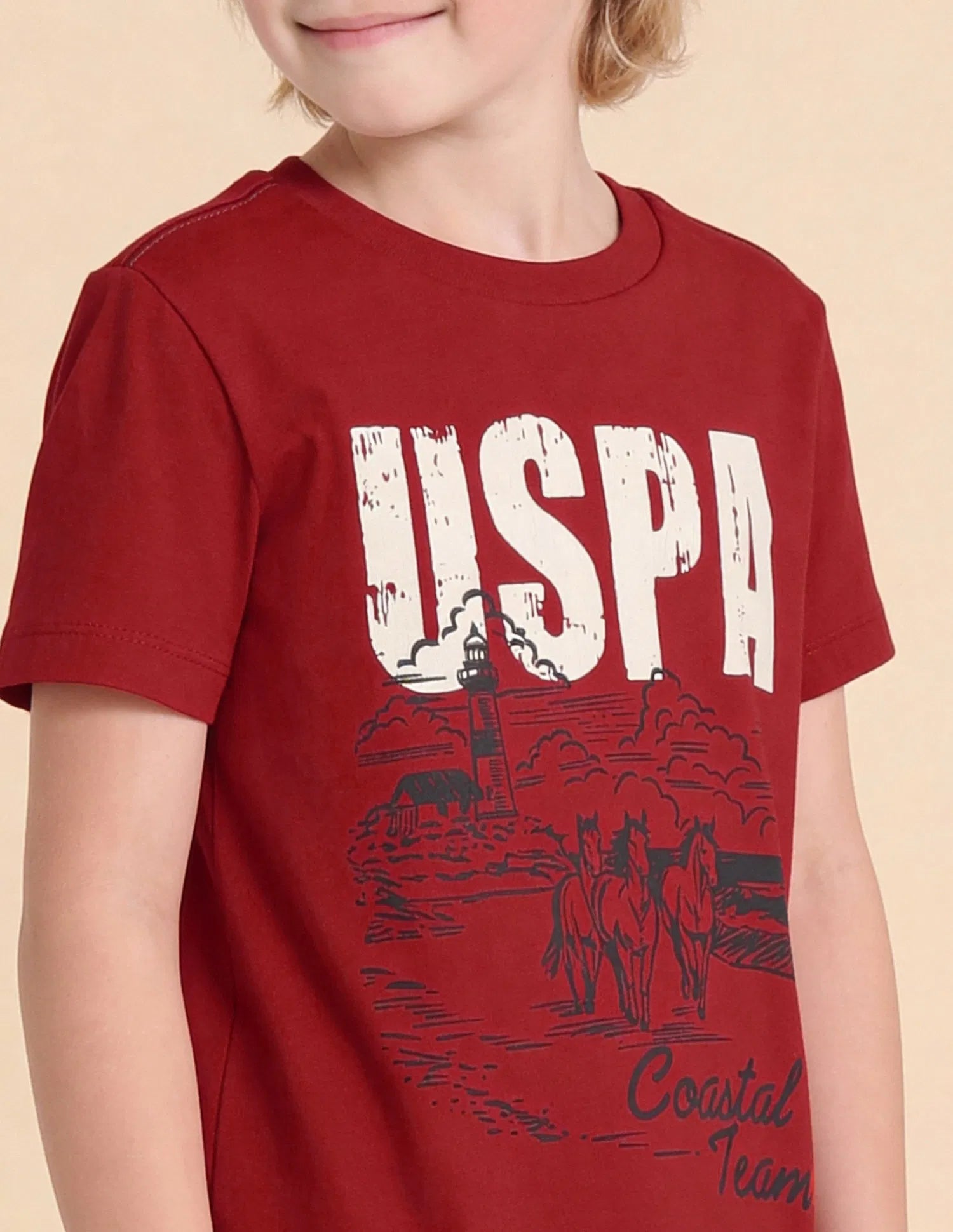 Boys Red Cotton Graphic Printed Regular Fit T-Shirt