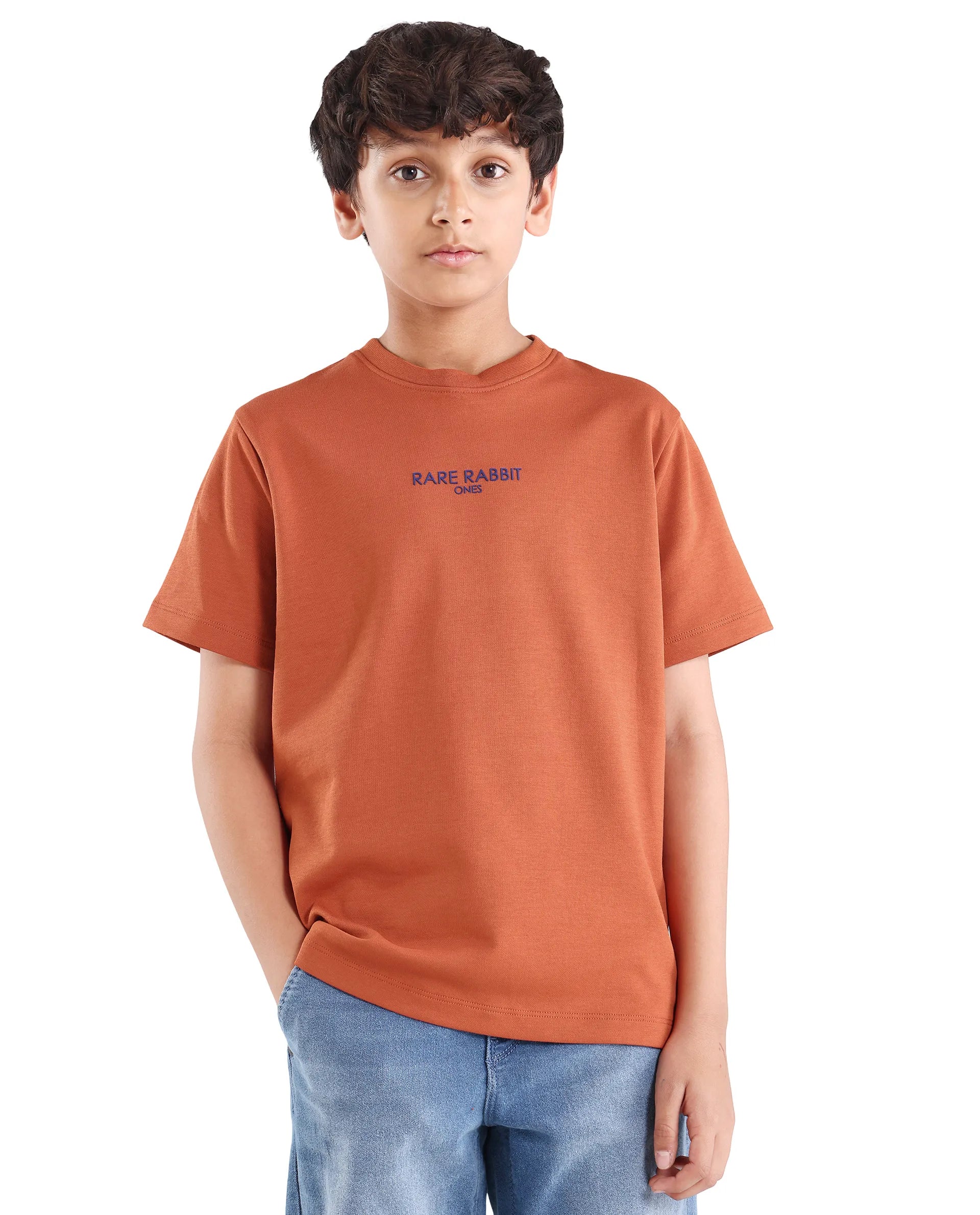 Boys Rust Flock Regular Fit Cotton Blend T-Shirt