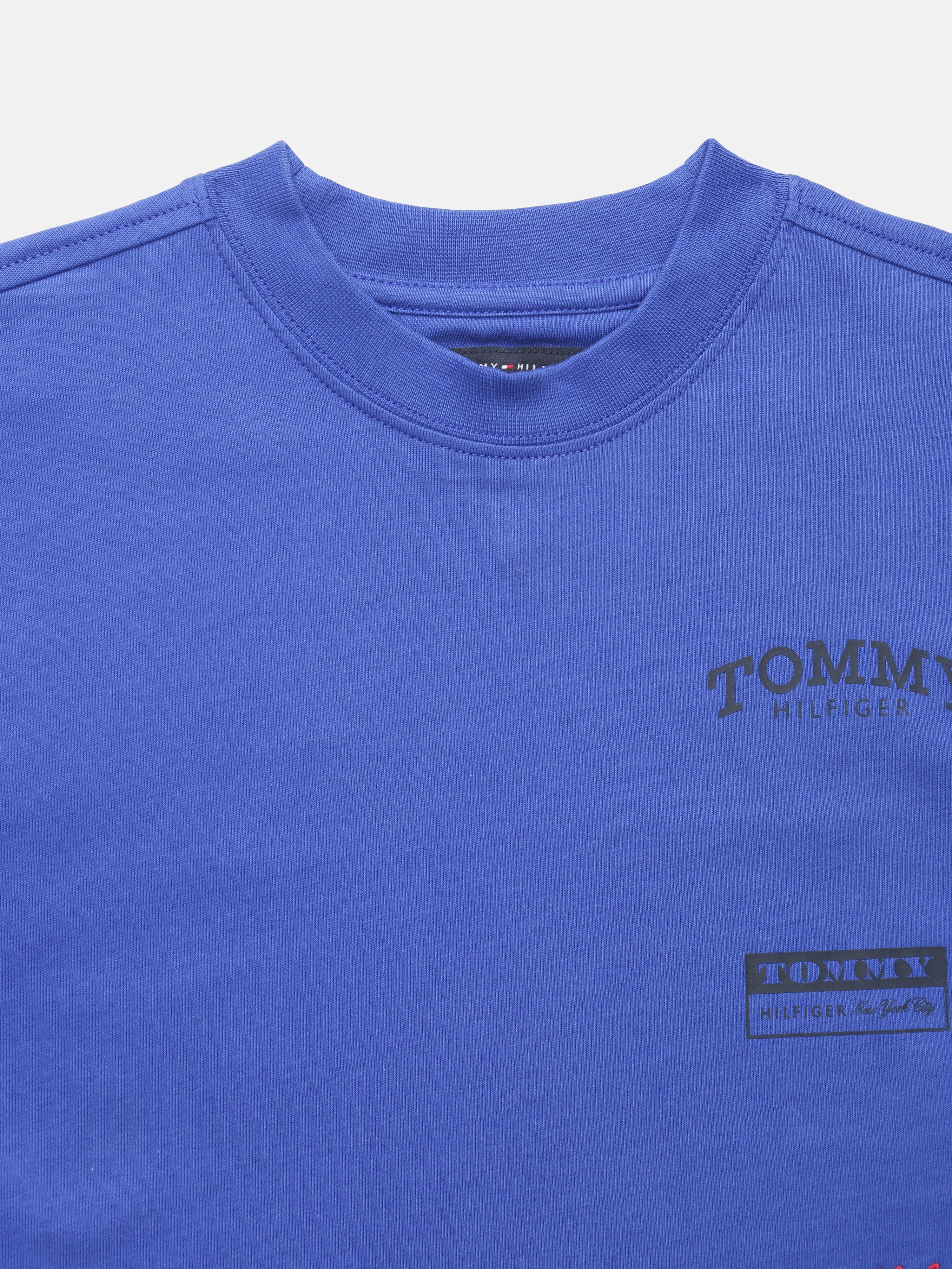 Boys Blue Graphic Cotton T-Shirt