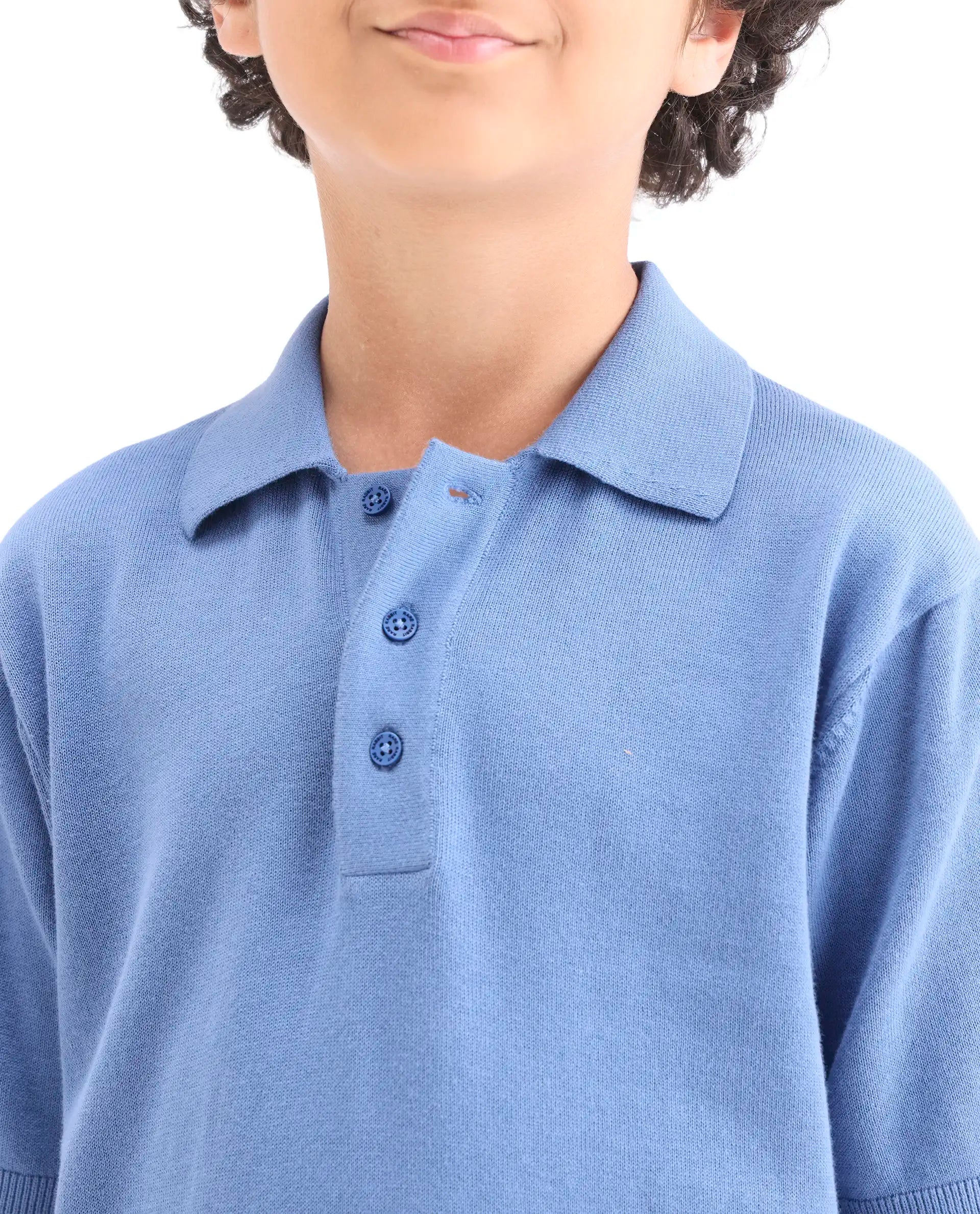 Rare Ones Boys Blue Cotton Regular Fit Polo
