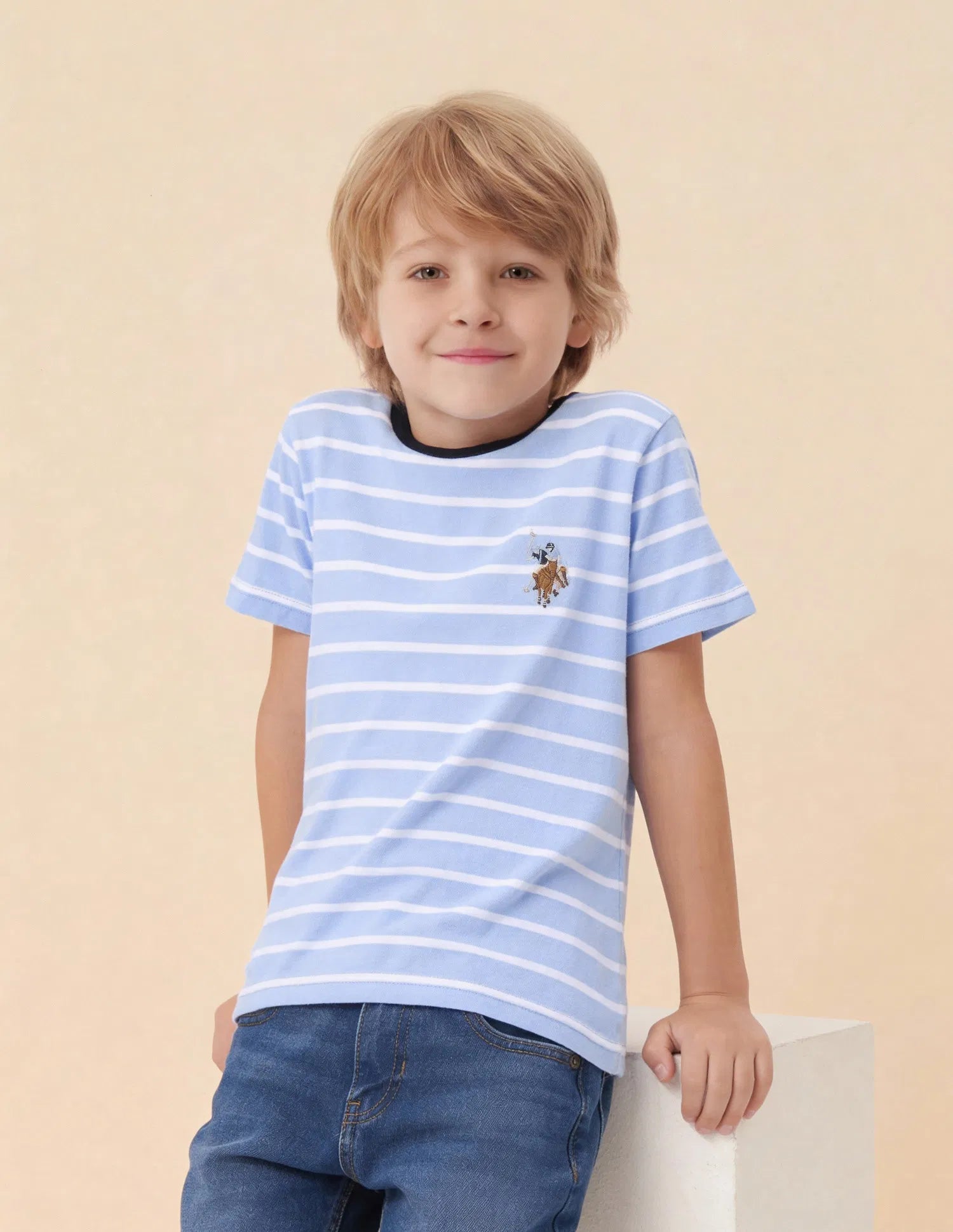 Boys Light Blue Cotton Horizontal Striped Regular Fit T-Shirt