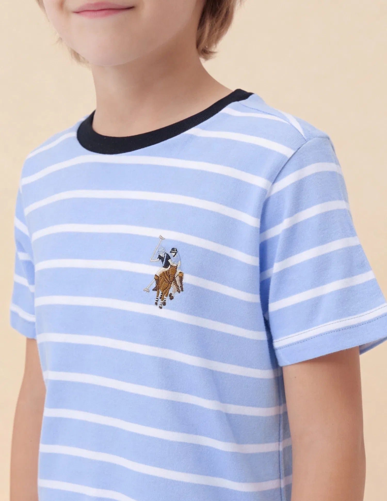 Boys Light Blue Cotton Horizontal Striped Regular Fit T-Shirt
