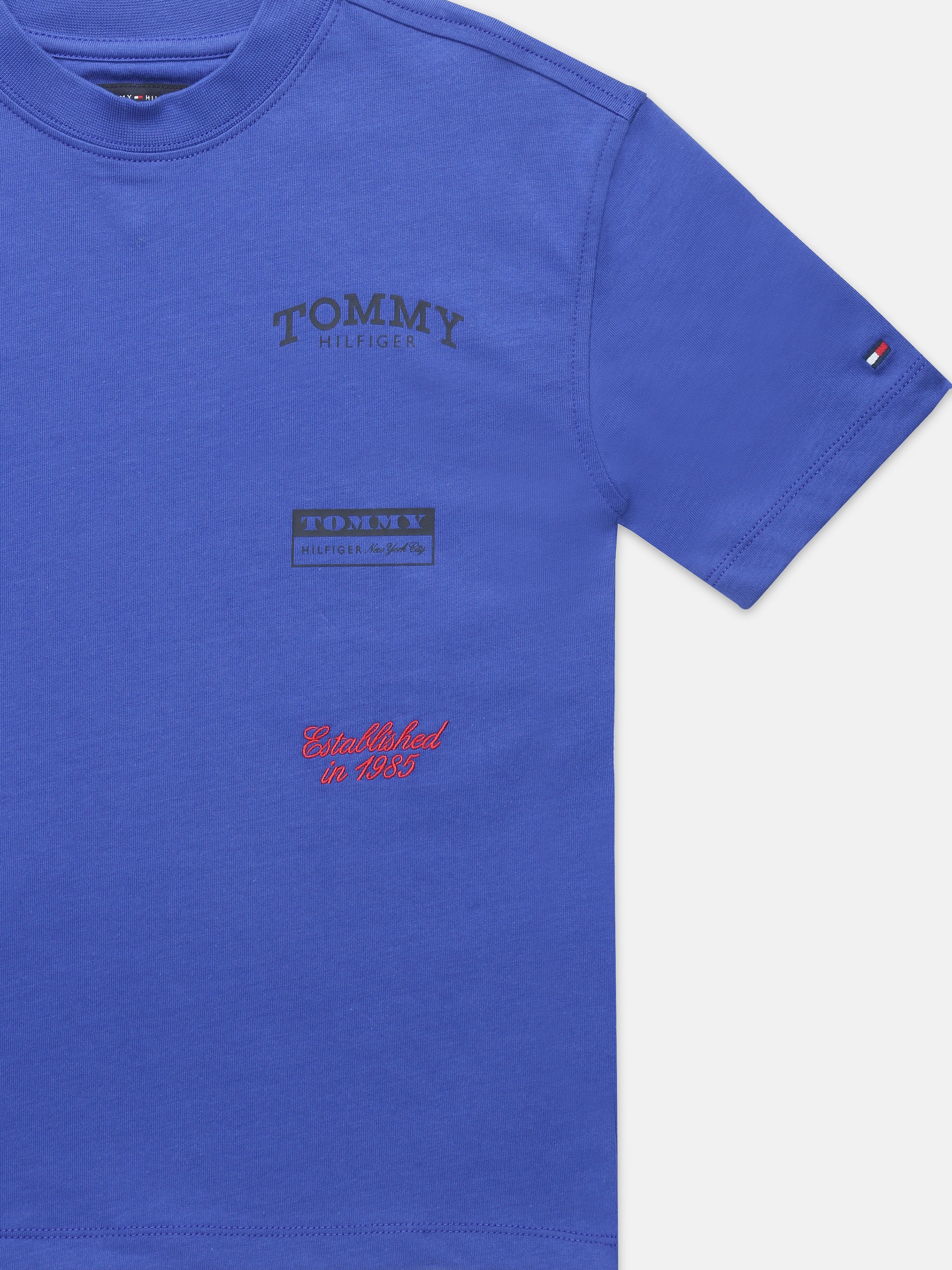 Boys Blue Graphic Cotton T-Shirt