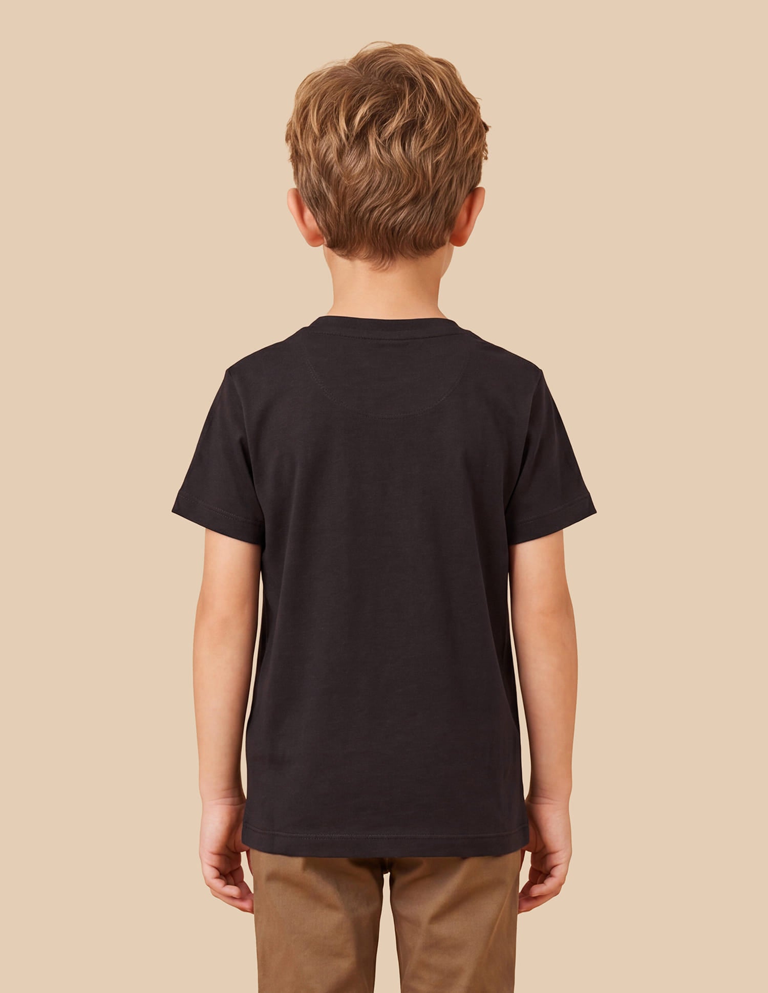 Boys Brown Cotton Graphic Print Regular Fit T-Shirt