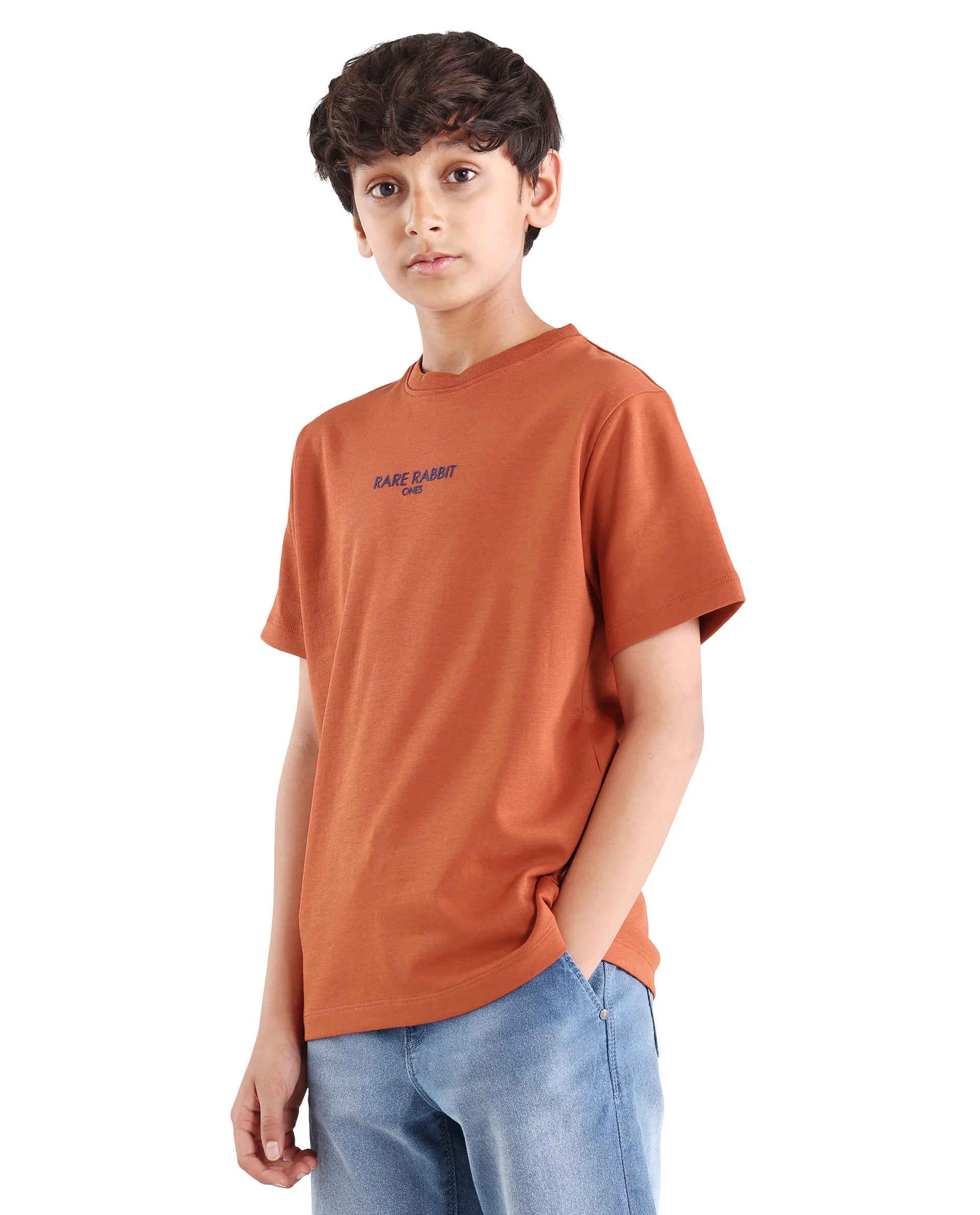 Boys Rust Flock Regular Fit Cotton Blend T-Shirt