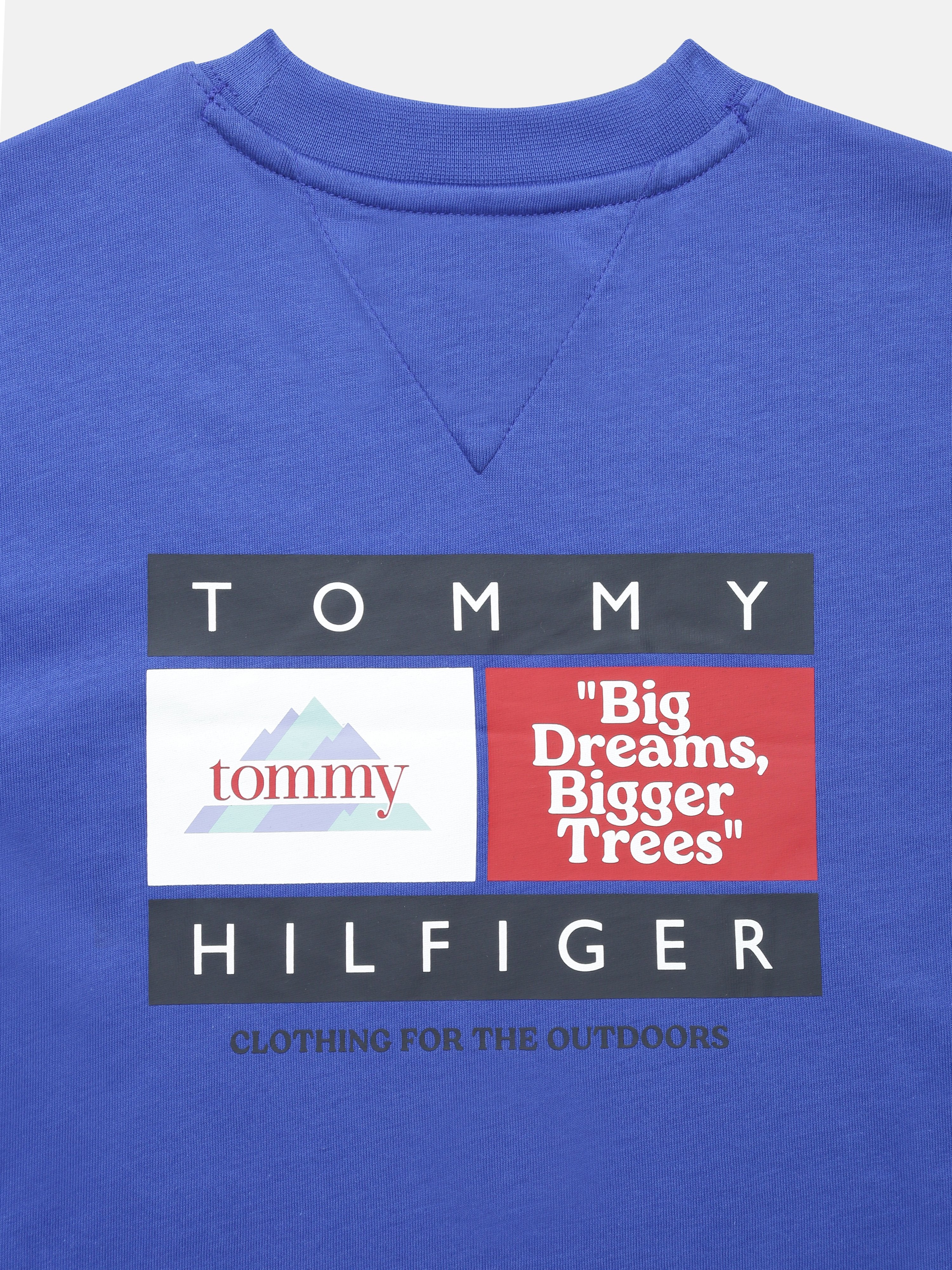 Boys Blue Graphic Cotton T-Shirt