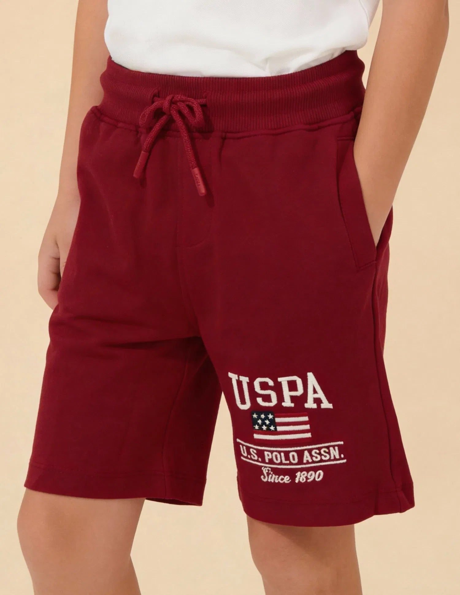 Boys Red Cotton Logo Printed Shorts Regular Fit
