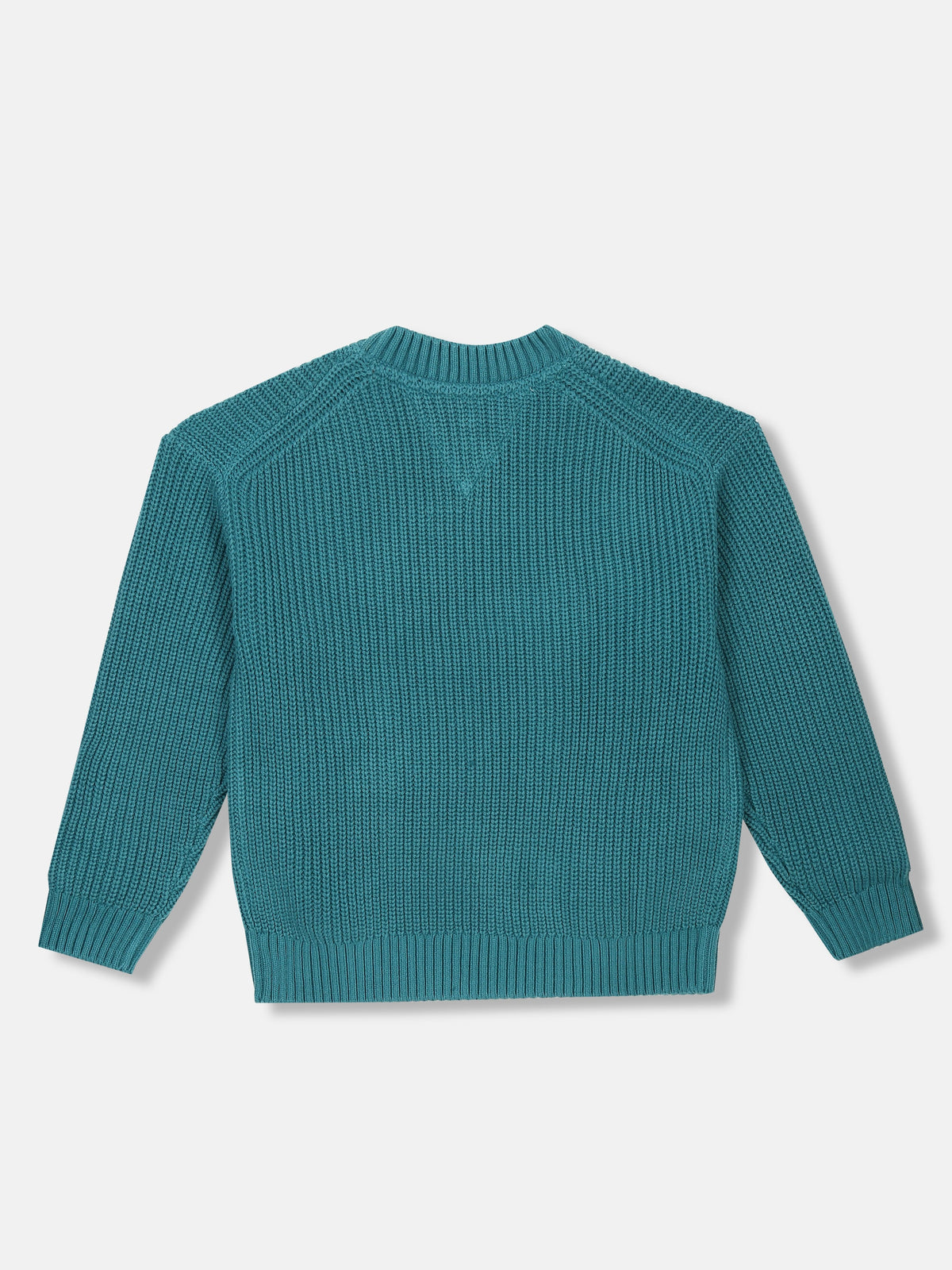 Boys Embroidered Logo Regular Fit Sweater Platinum Teal
