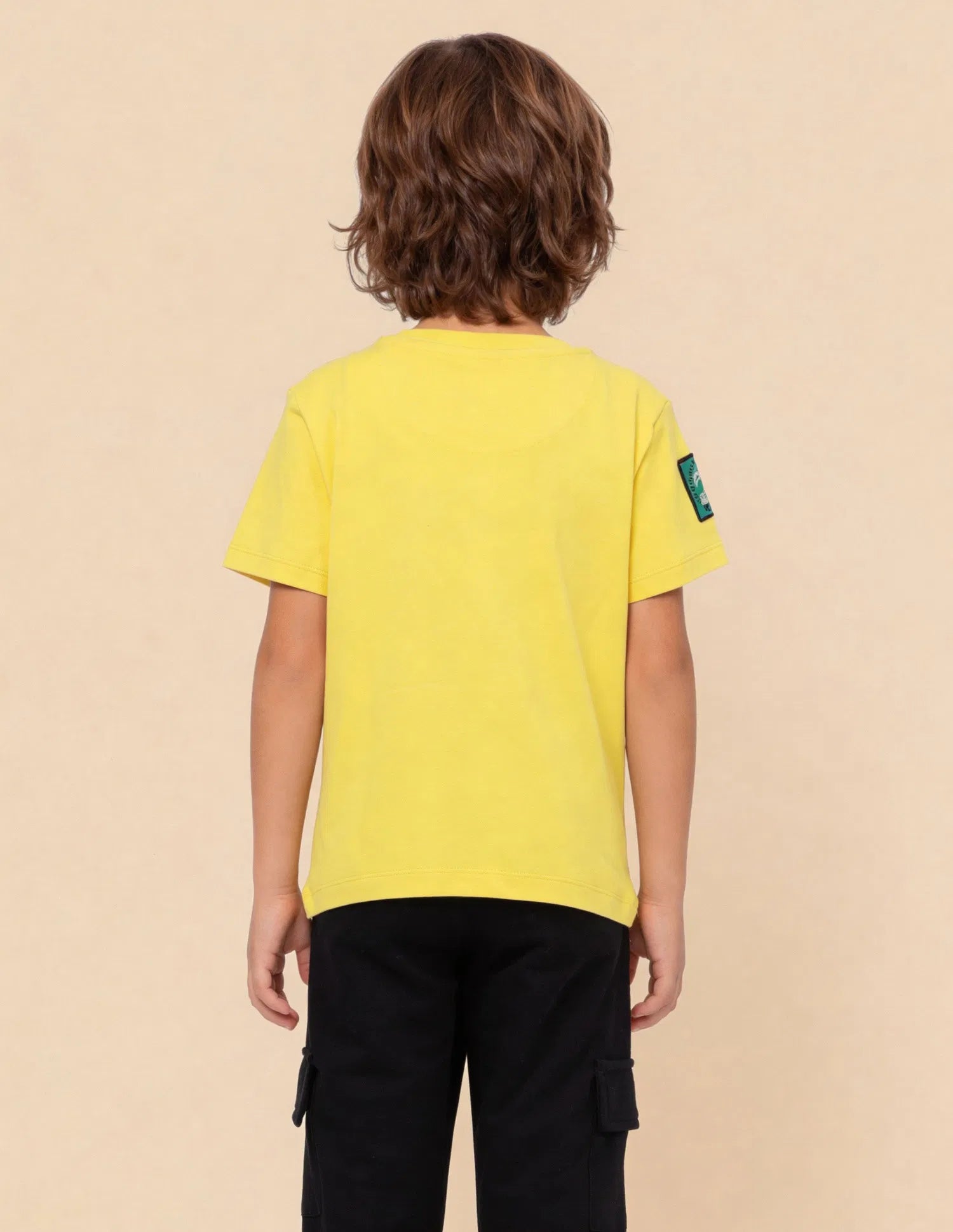 Boys Light Yellow Cotton Applique Regular Fit T-Shirt