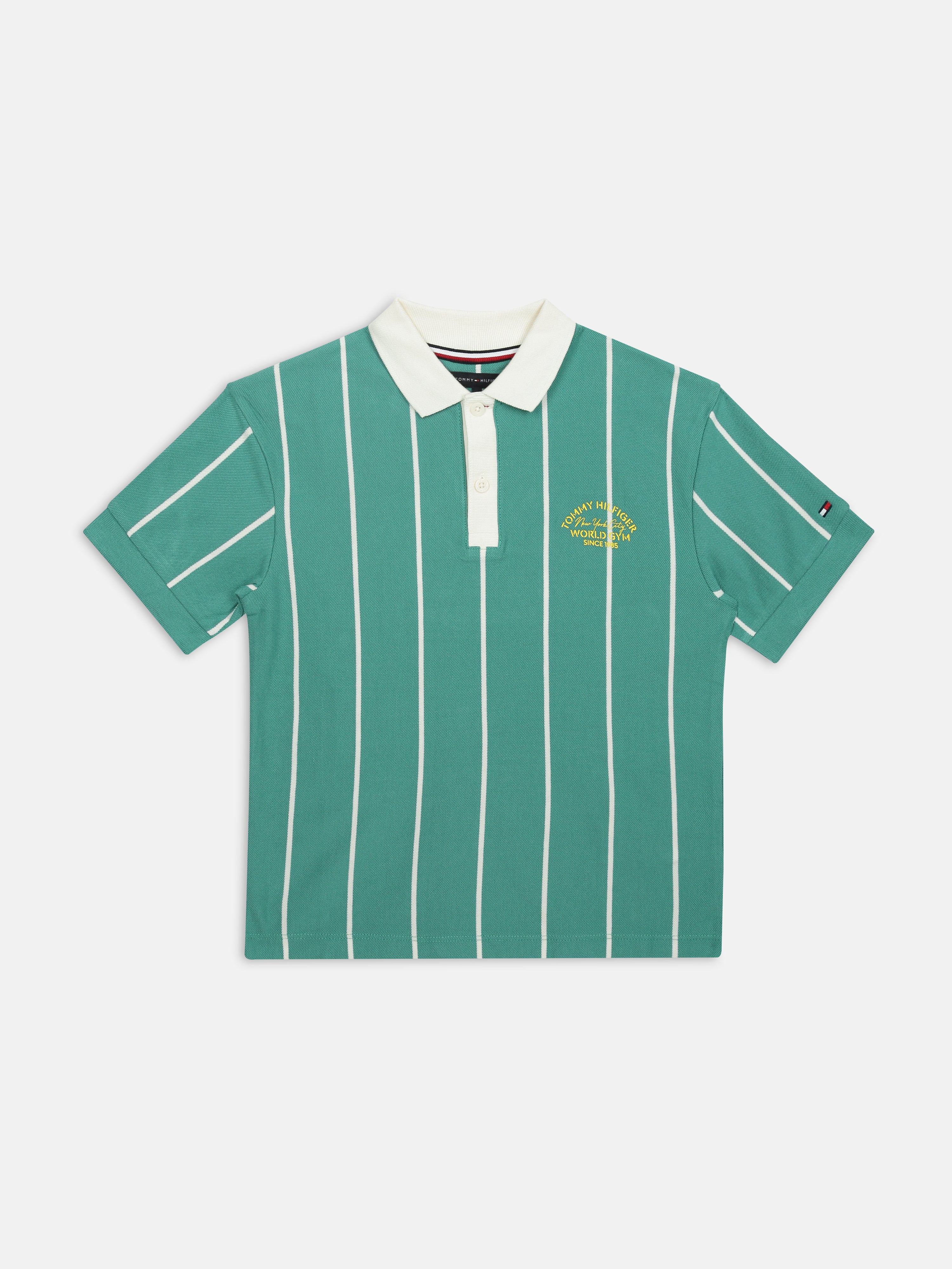 Boys Green Striped Polo Knit T-Shirt