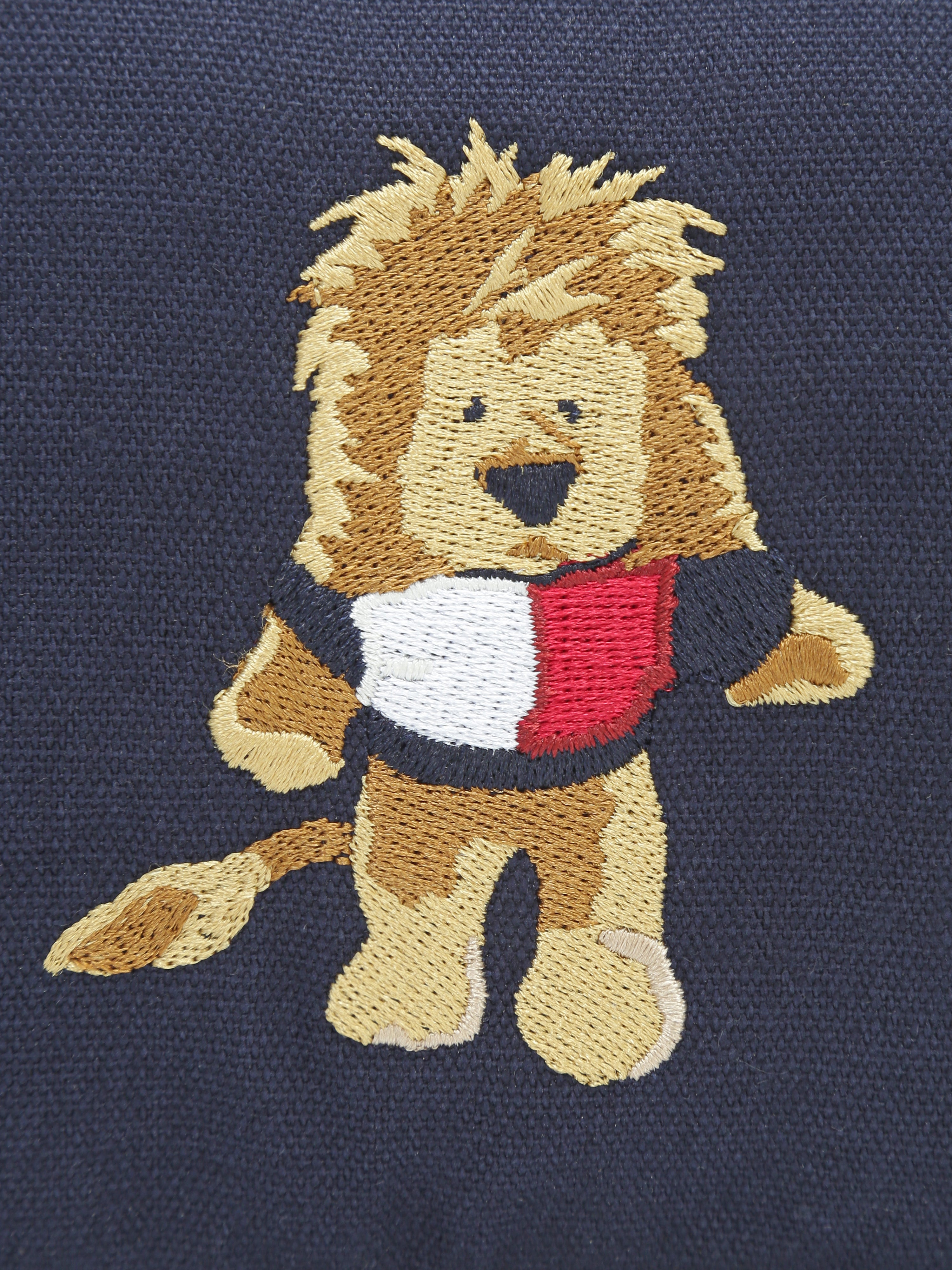 Kids Blue Embroidered Polyester Casual Zip Bag