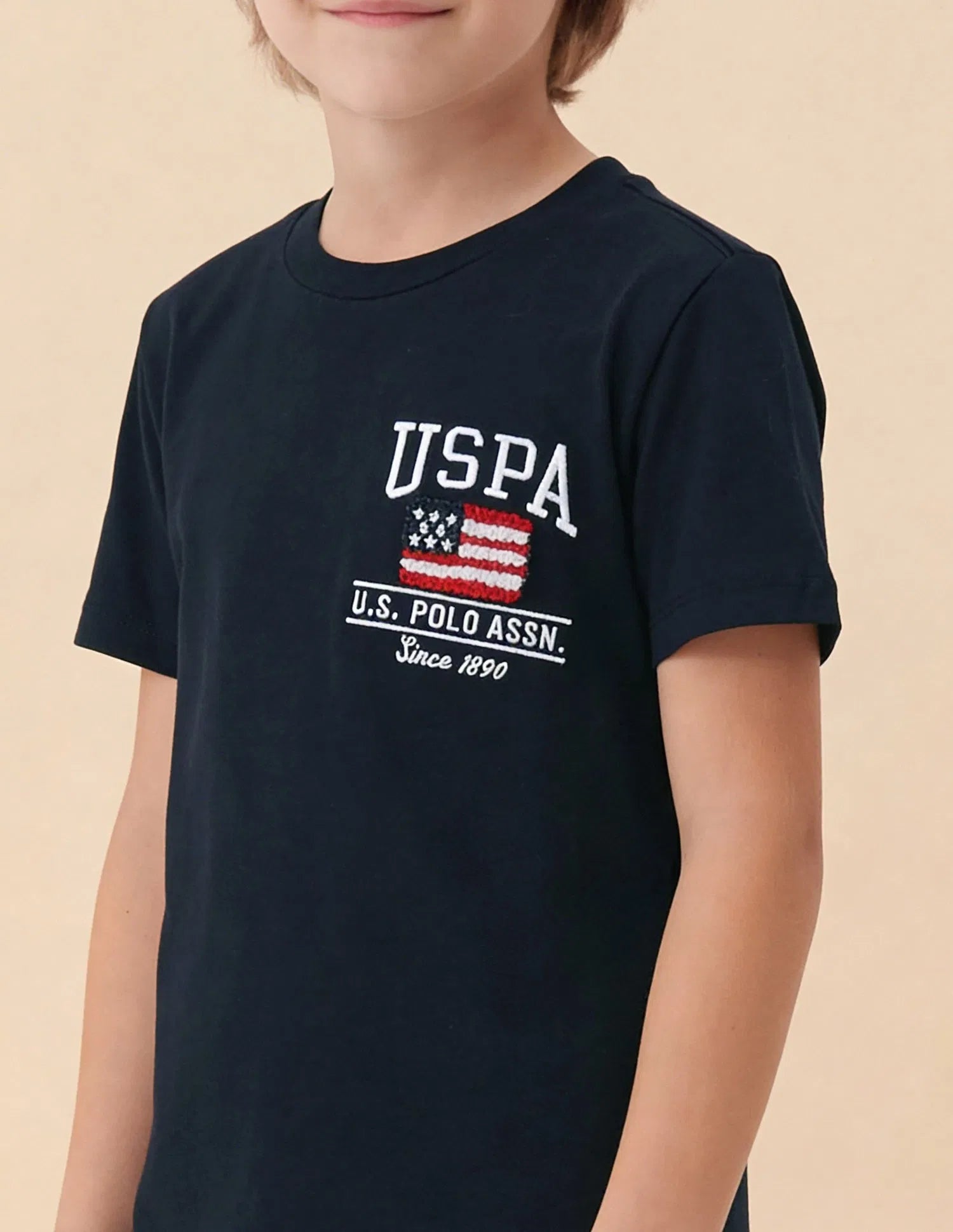 Boys Navy Cotton Brand Logo Regular Fit T-Shirt