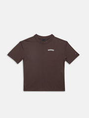 Boys Brown Graphic Cotton T-Shirt