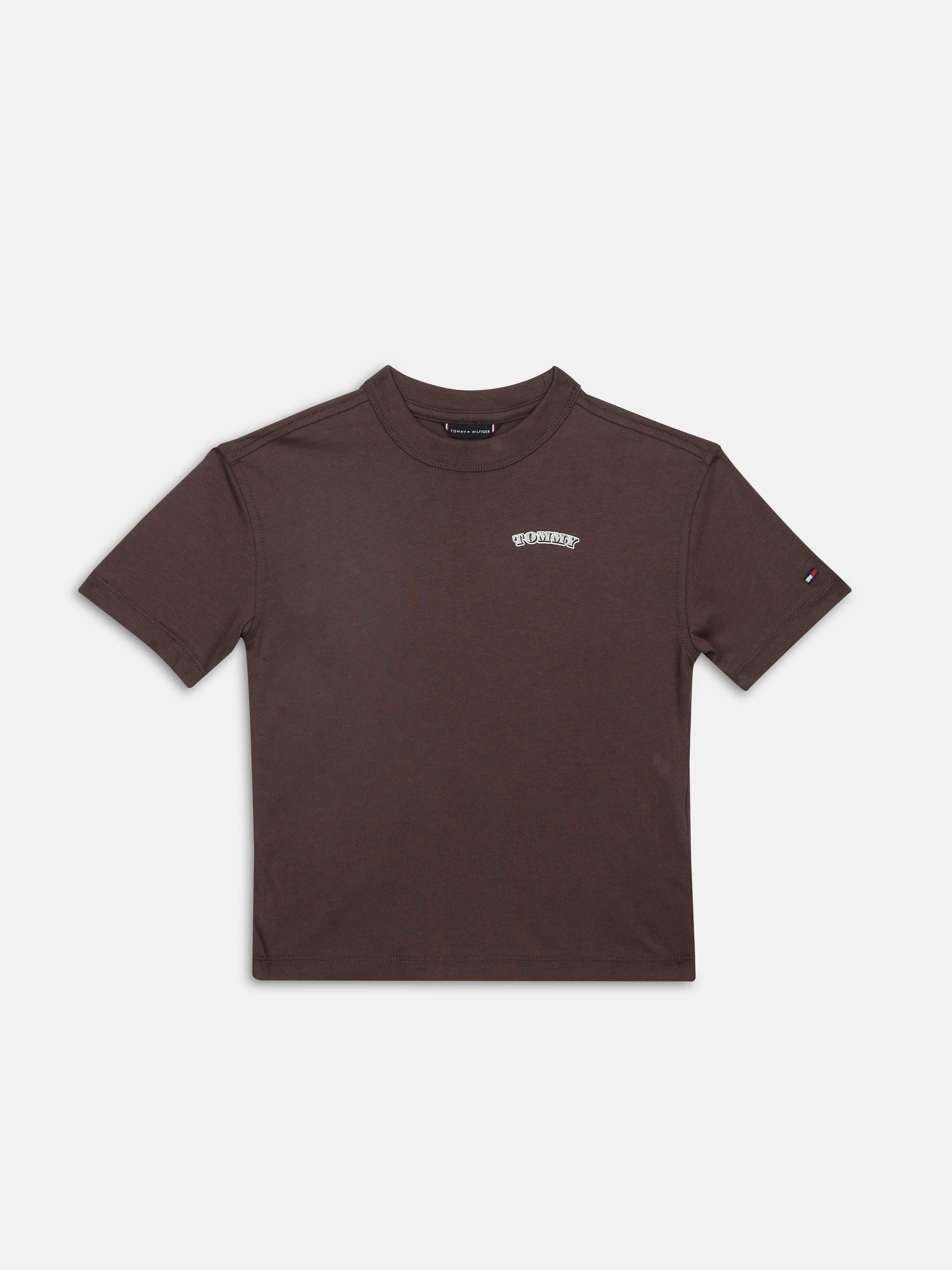 Boys Brown Graphic Cotton T-Shirt