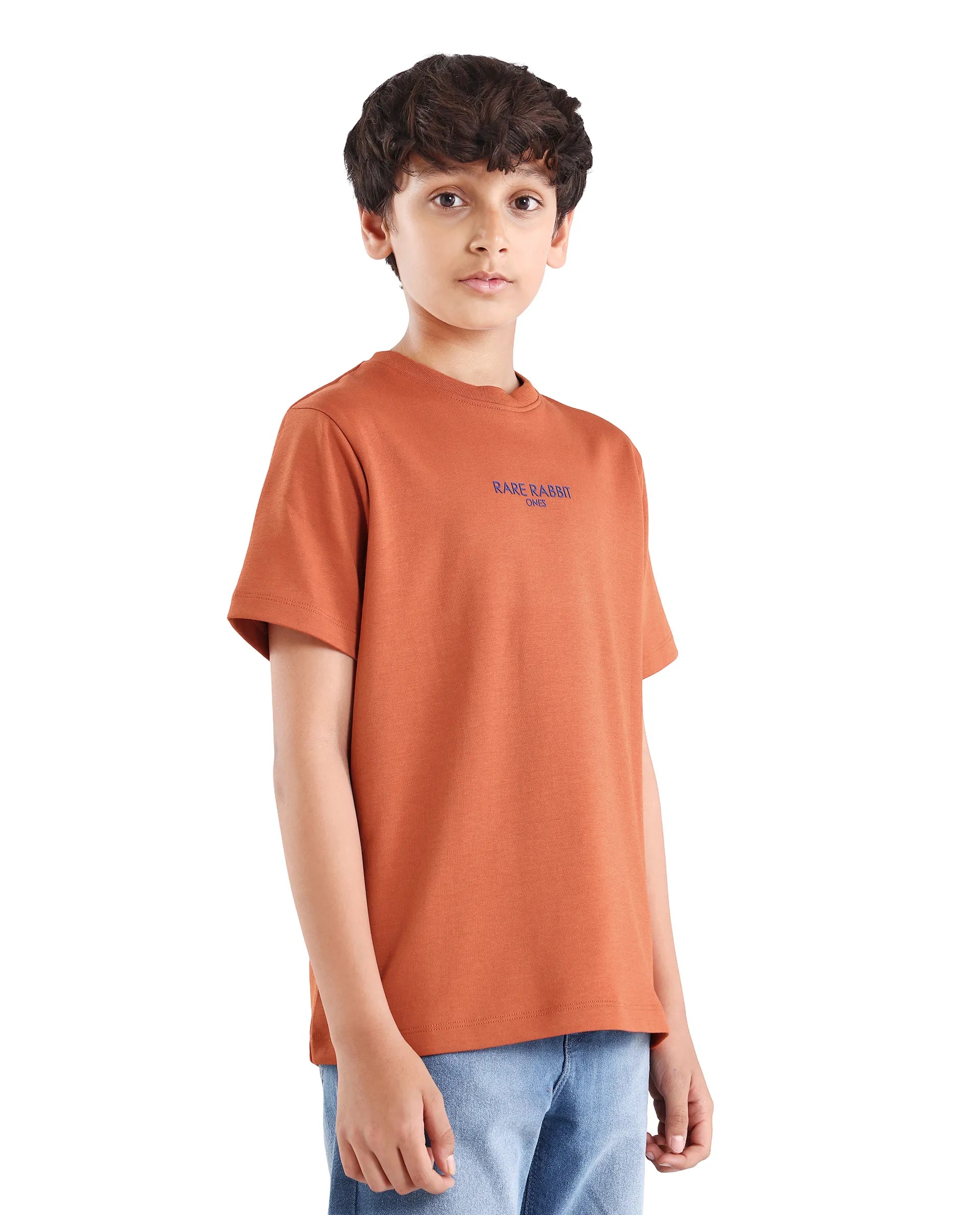 Boys Rust Flock Regular Fit Cotton Blend T-Shirt