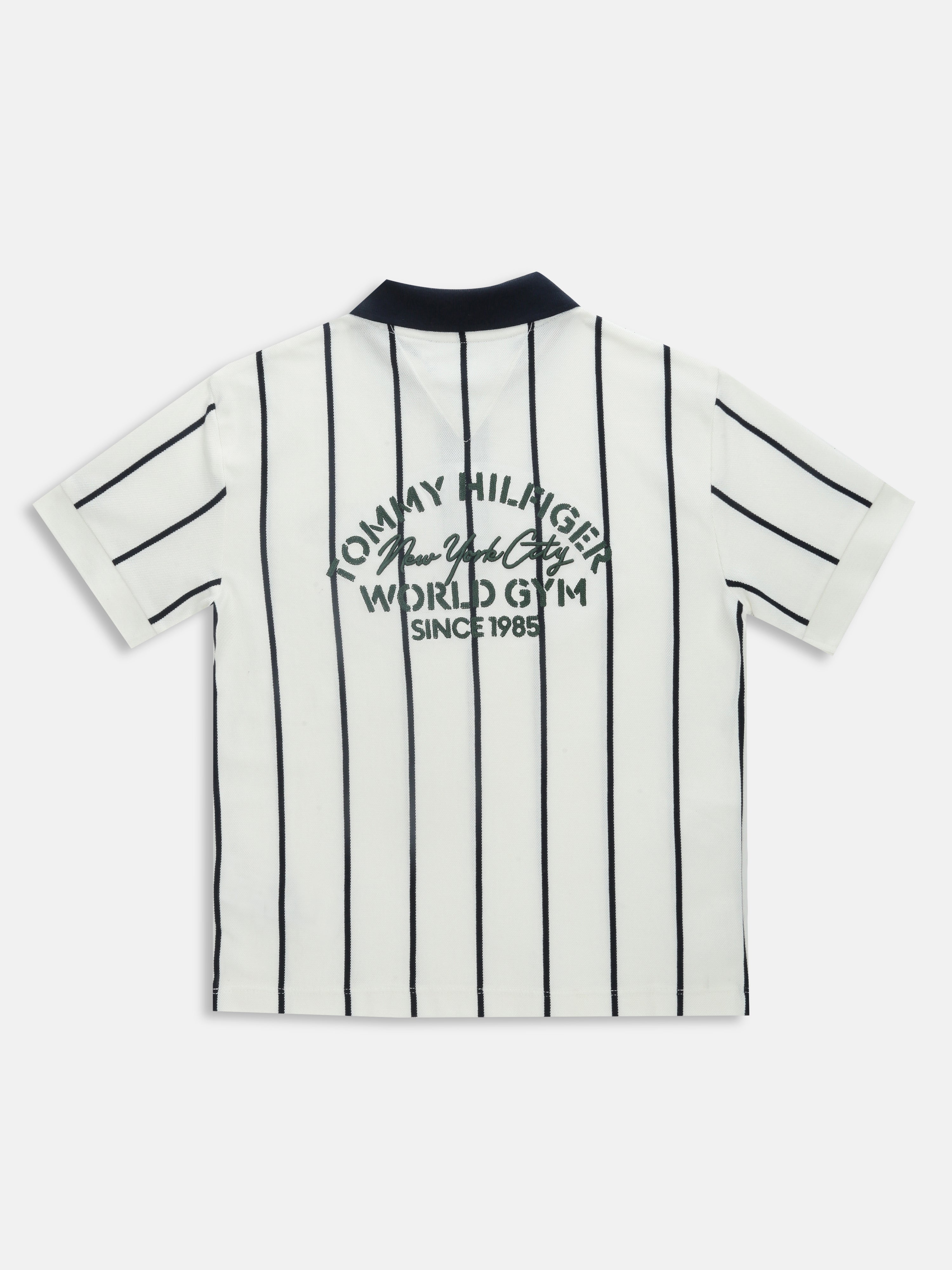 Boys White Solid Polo Knit T-Shirt