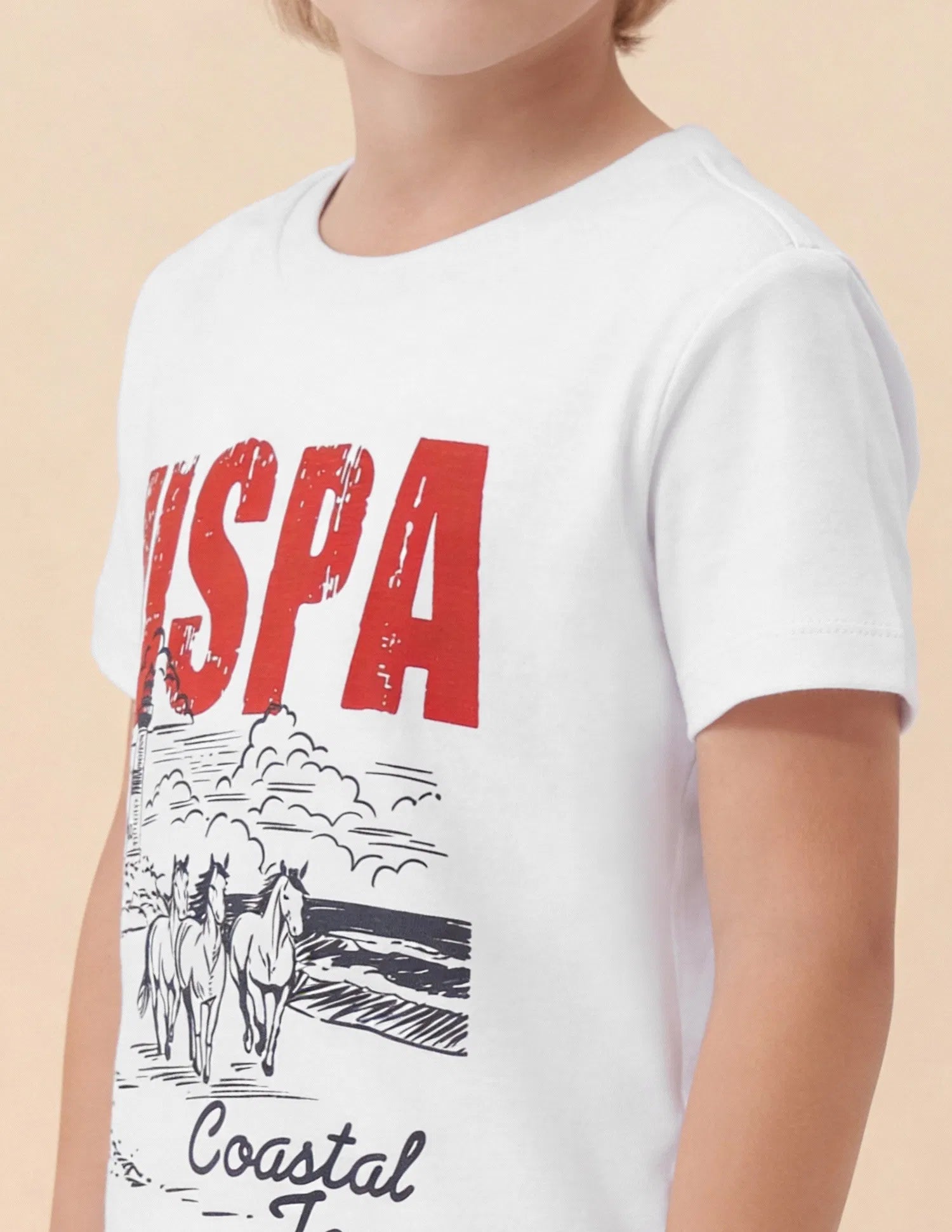 Boys White Cotton Graphic Print Regular Fit T-Shirt