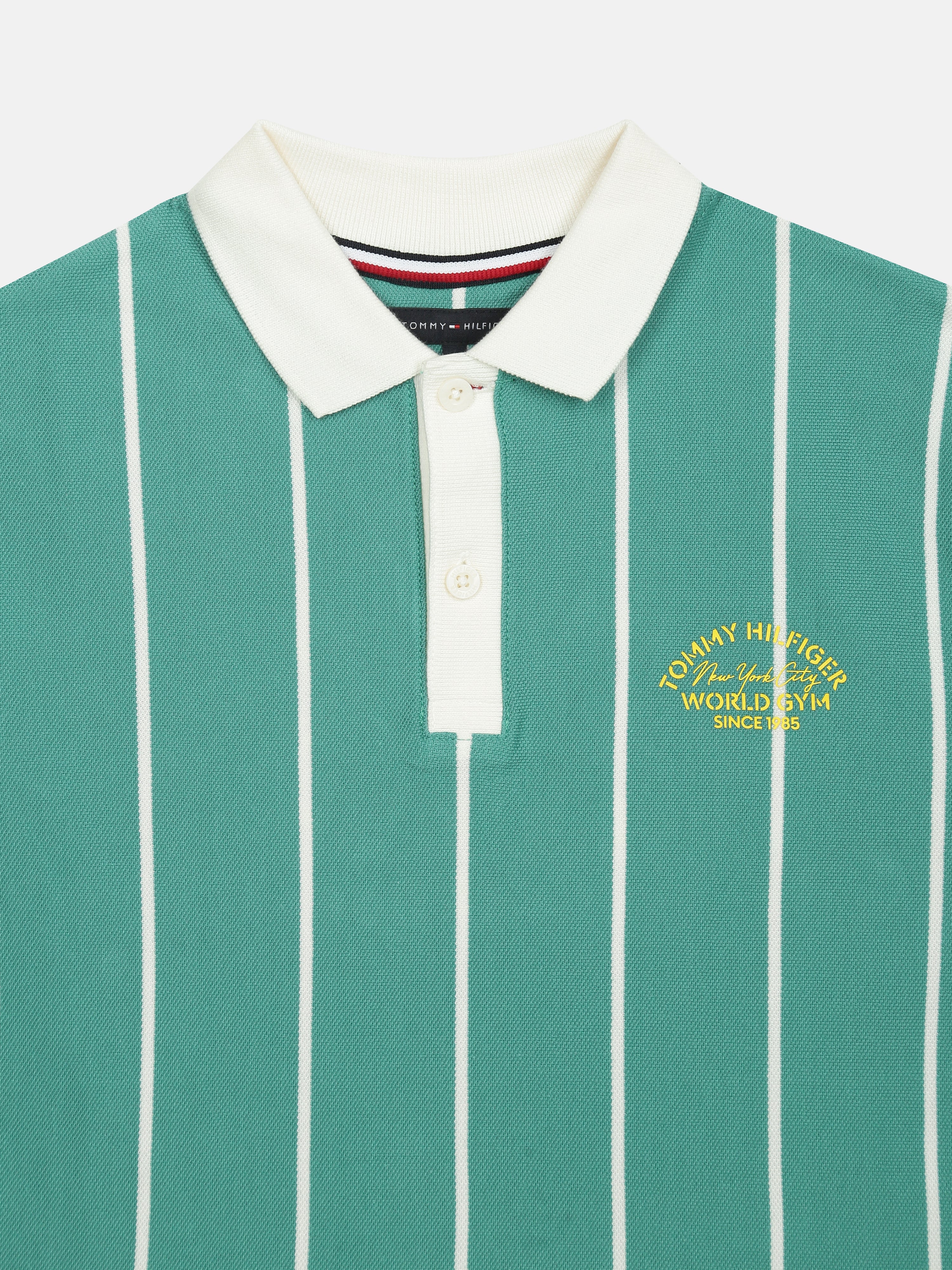 Boys Green Striped Polo Knit T-Shirt
